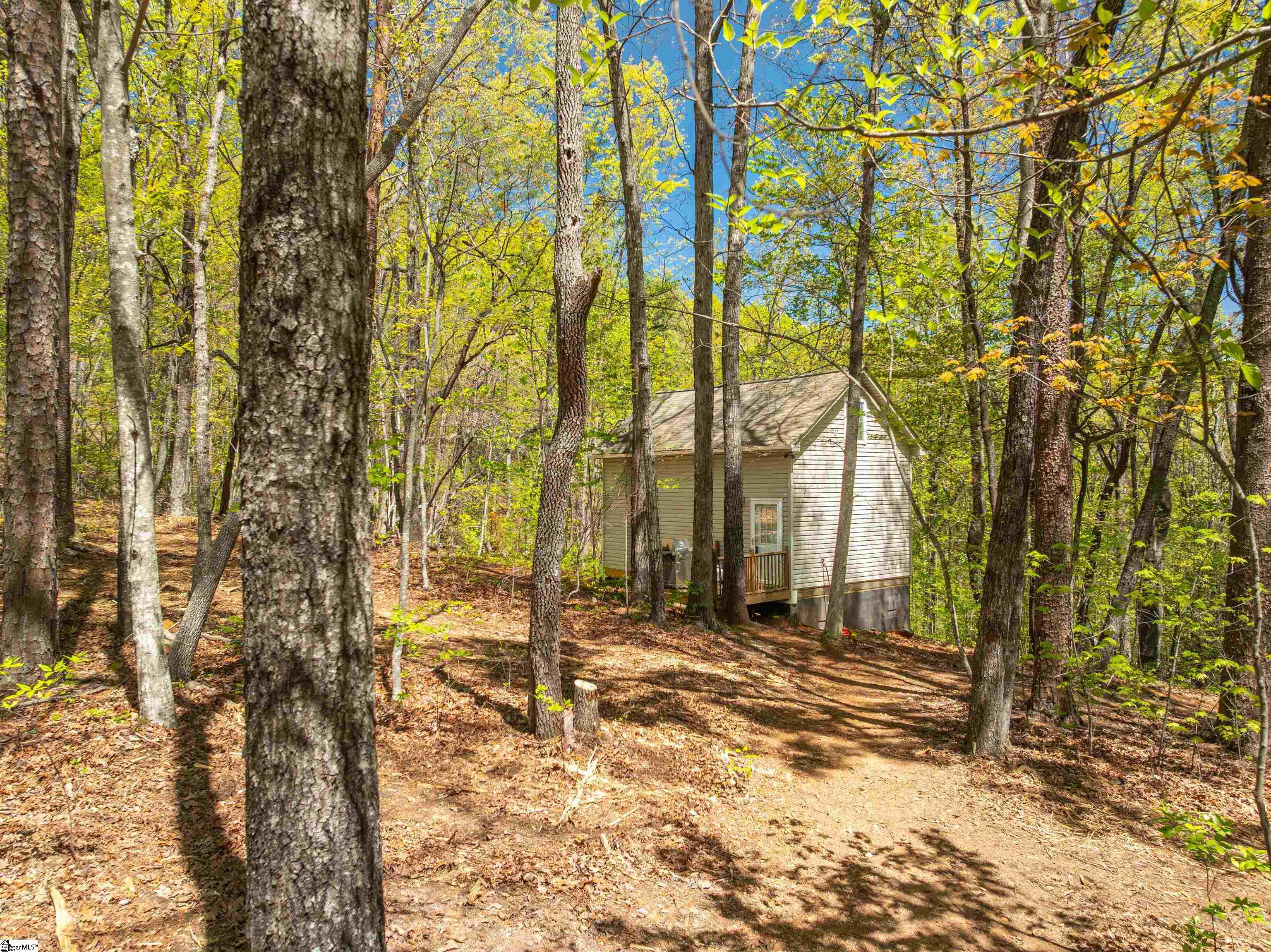187 Shepherd Springs Drive Cleveland, SC 29635
