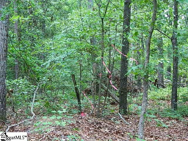 118 Cothran Road Belton, SC 29627