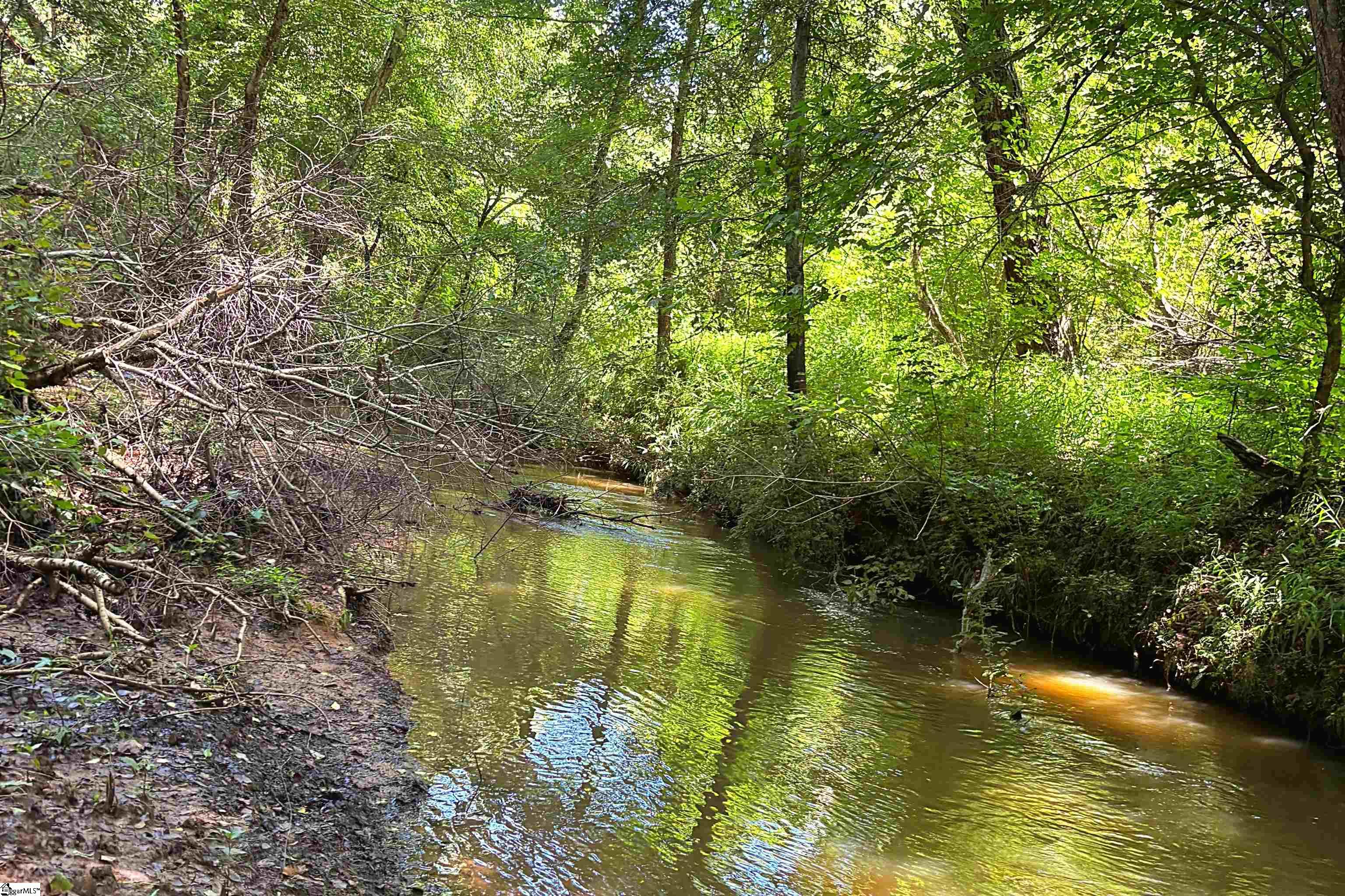 144 Mountain Creek Road Gray Court, SC 29645