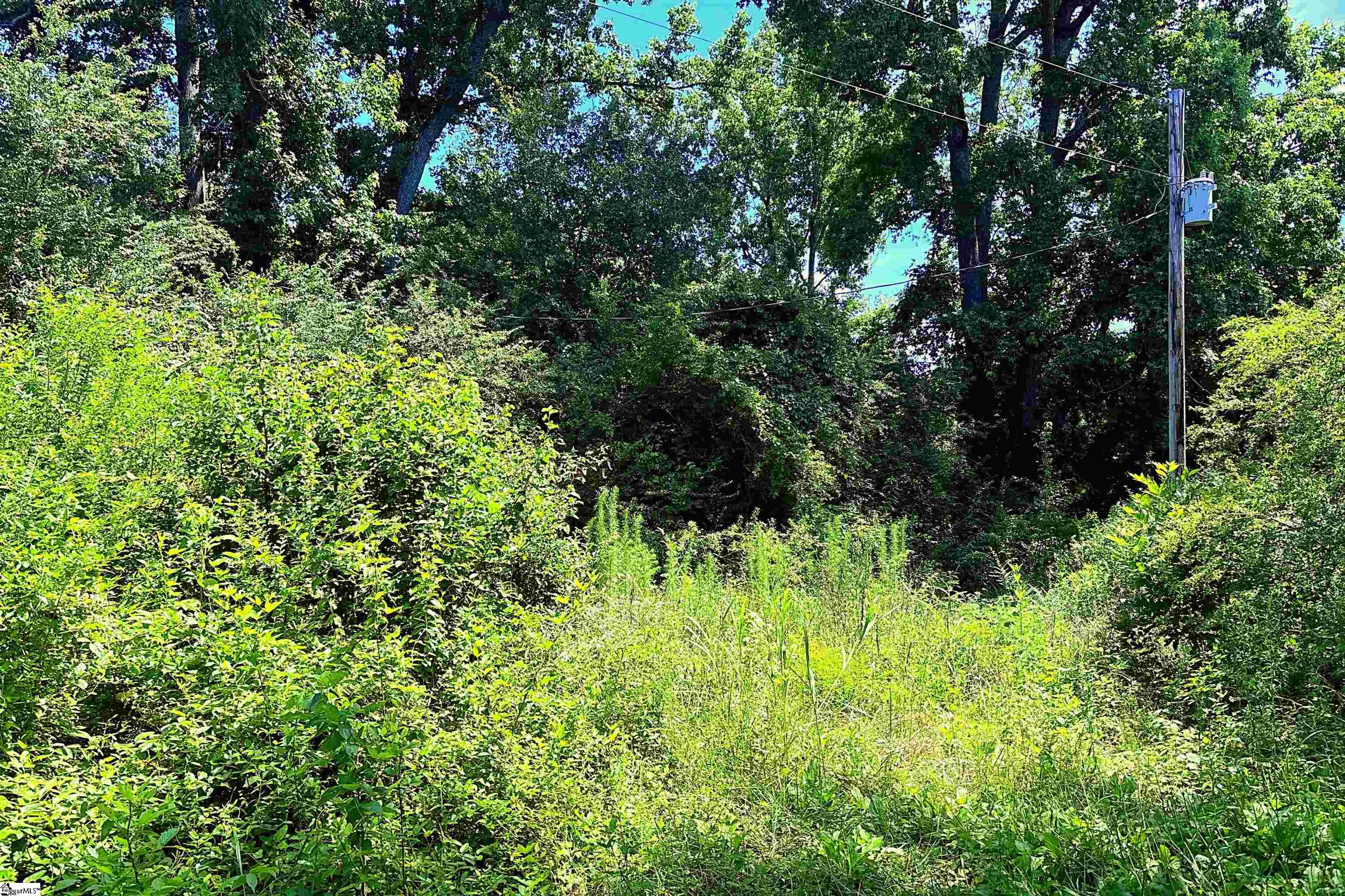 144 Mountain Creek Road Gray Court, SC 29645