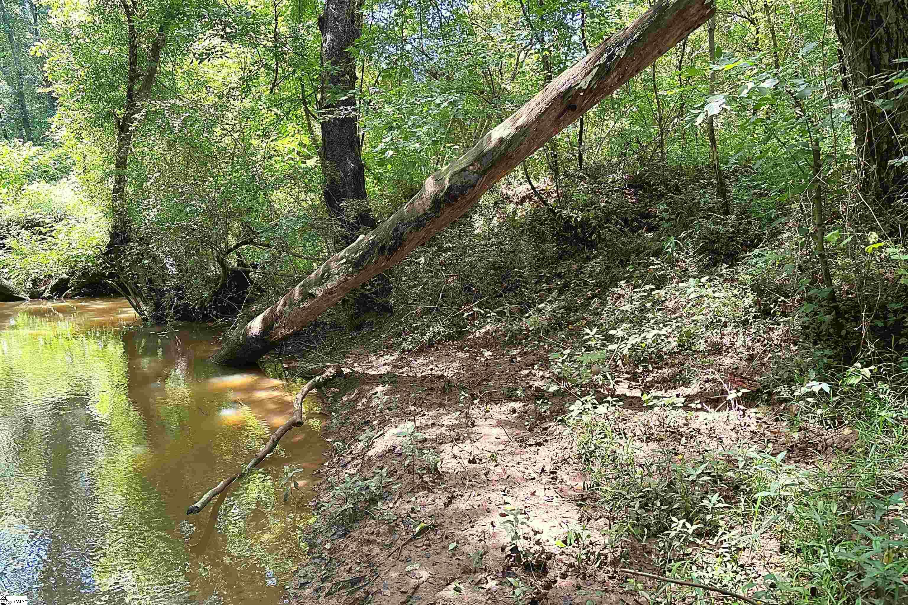 144 Mountain Creek Road Gray Court, SC 29645