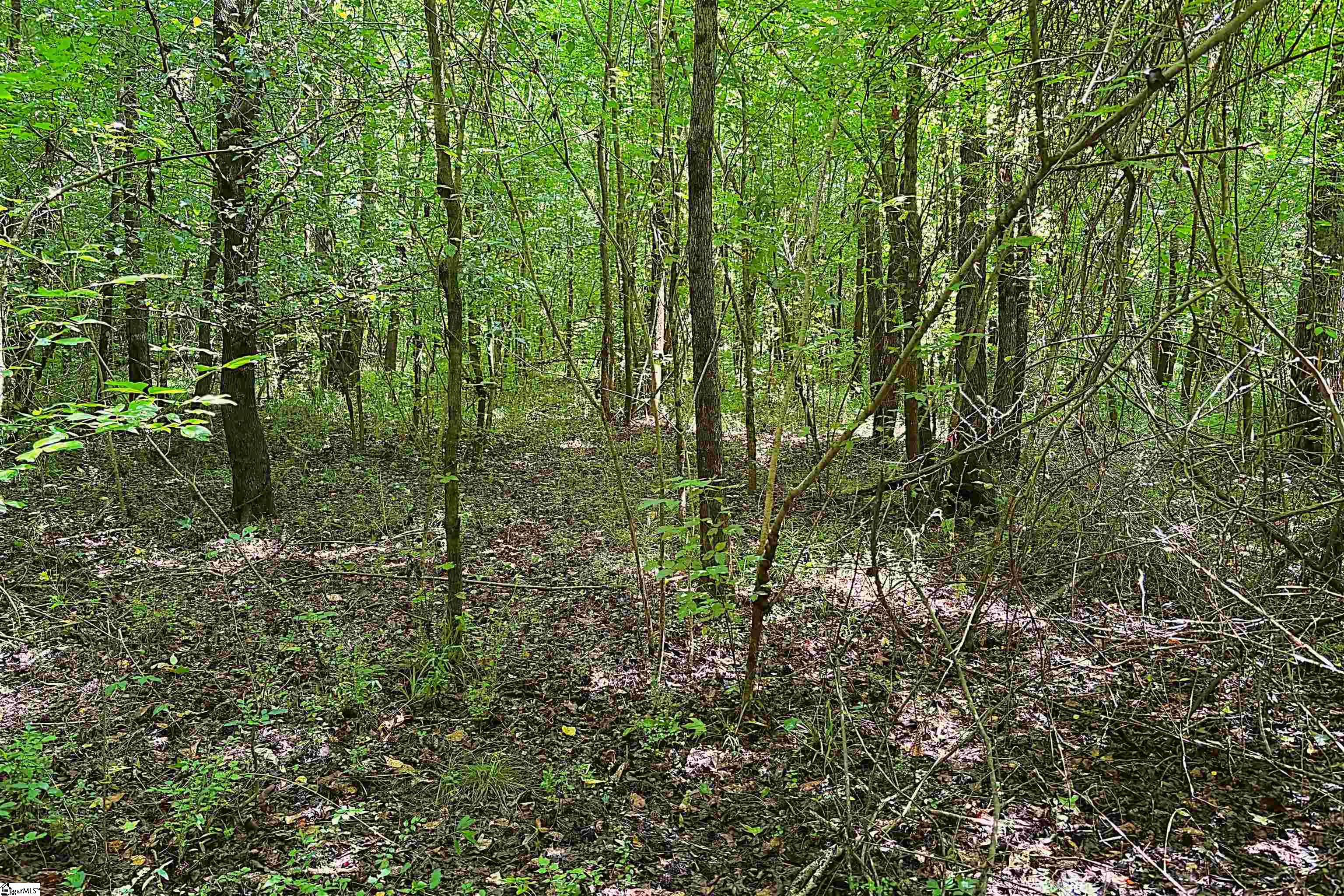 144 Mountain Creek Road Gray Court, SC 29645