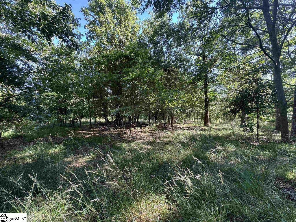 00 Farmers Hill Road Liberty, SC 29657