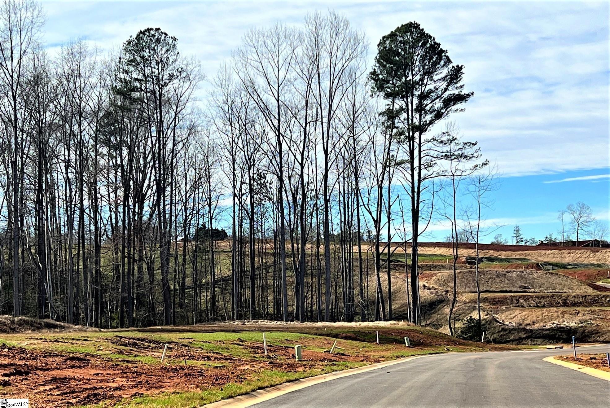 2593 S. Christo Lane Wellford, SC 29384