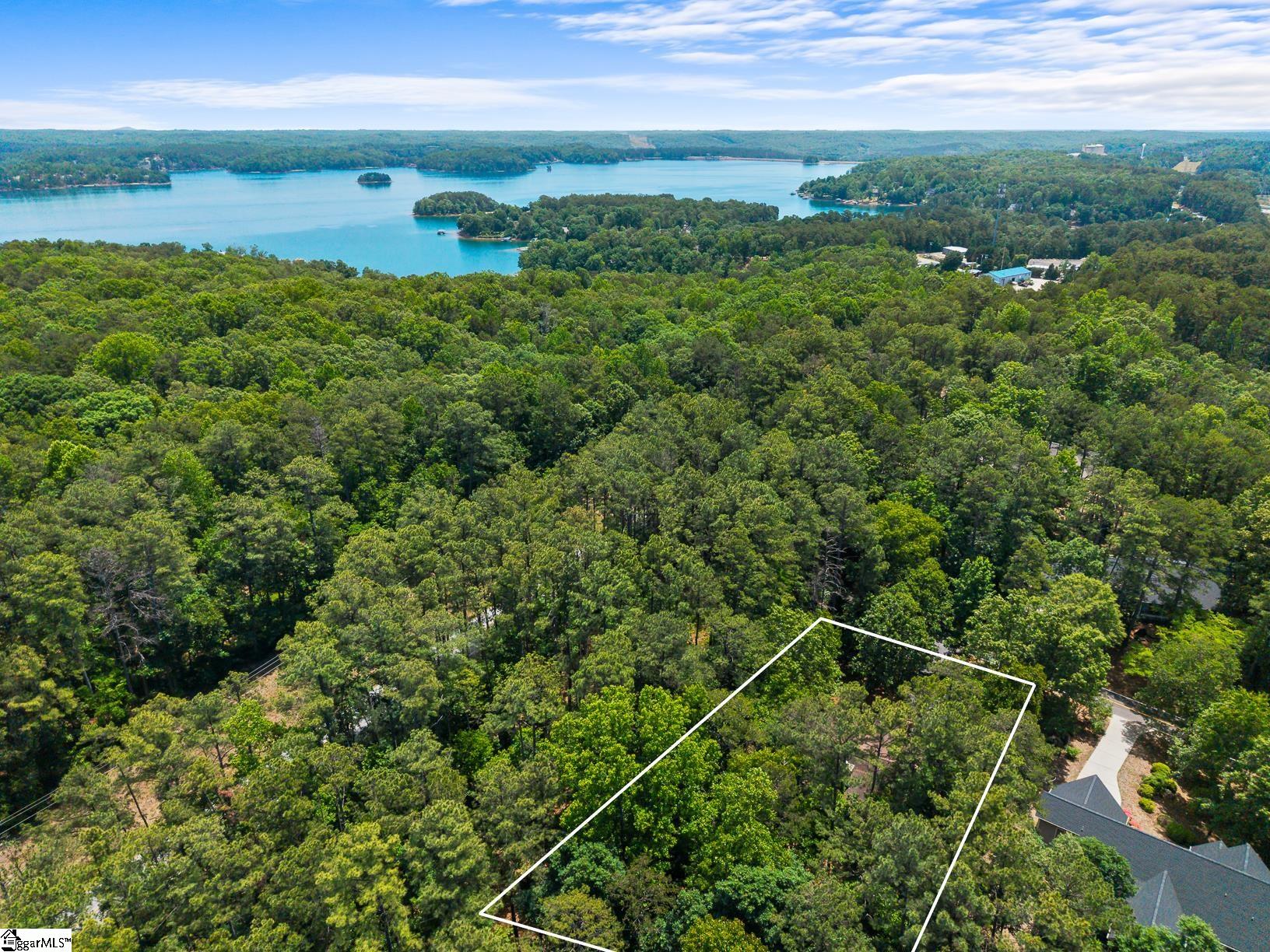 11 Pine Garden Way Drive Salem, SC 29676