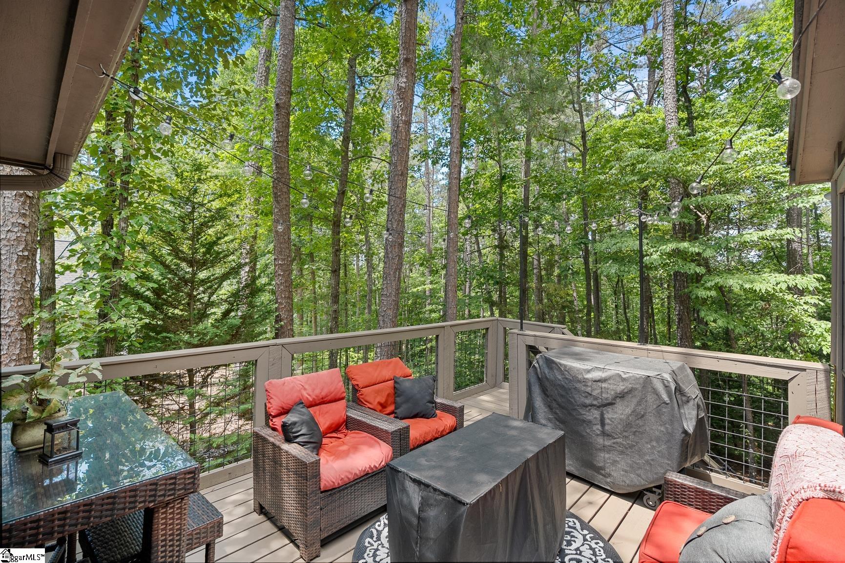 11 Pine Garden Way Drive Salem, SC 29676