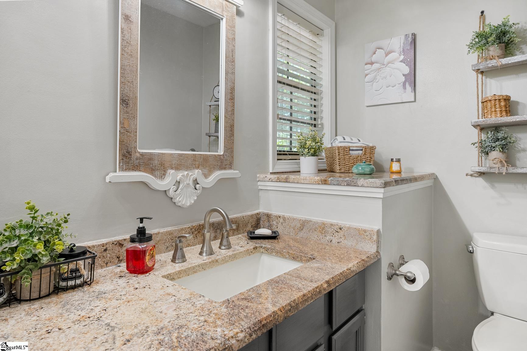 11 Pine Garden Way Drive Salem, SC 29676