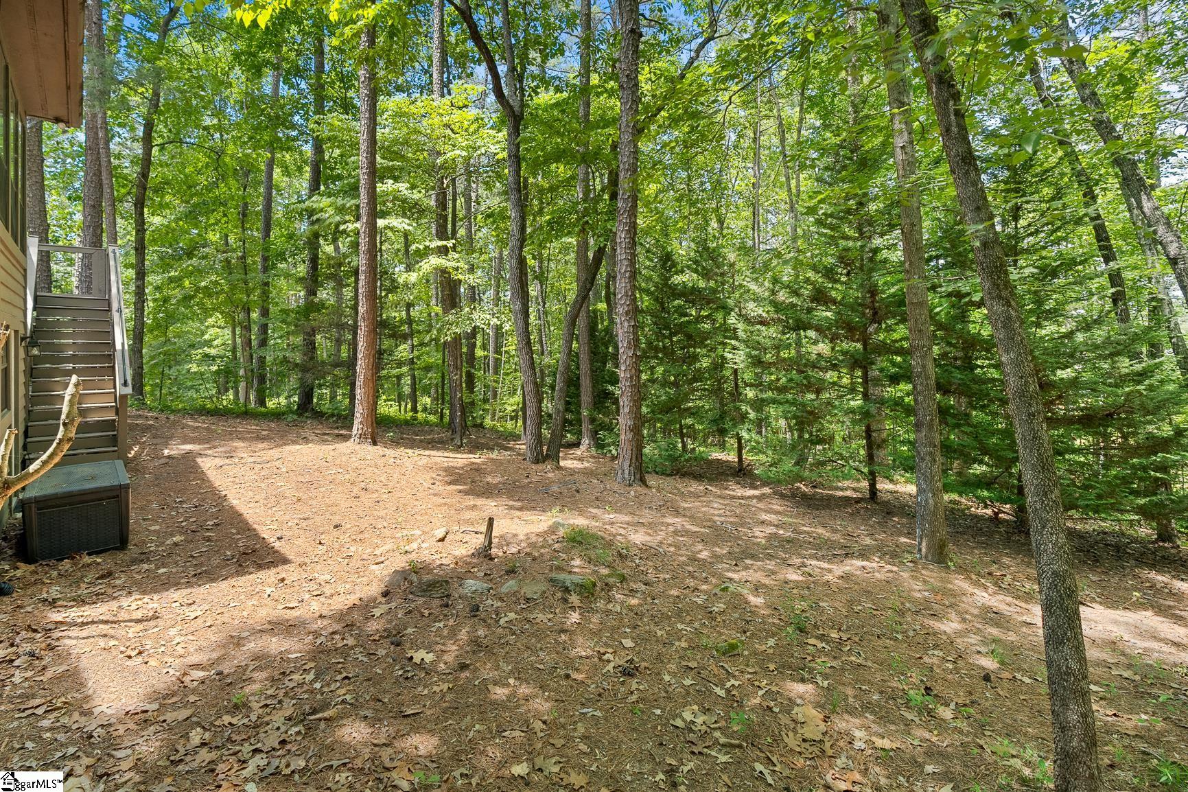 11 Pine Garden Way Drive Salem, SC 29676