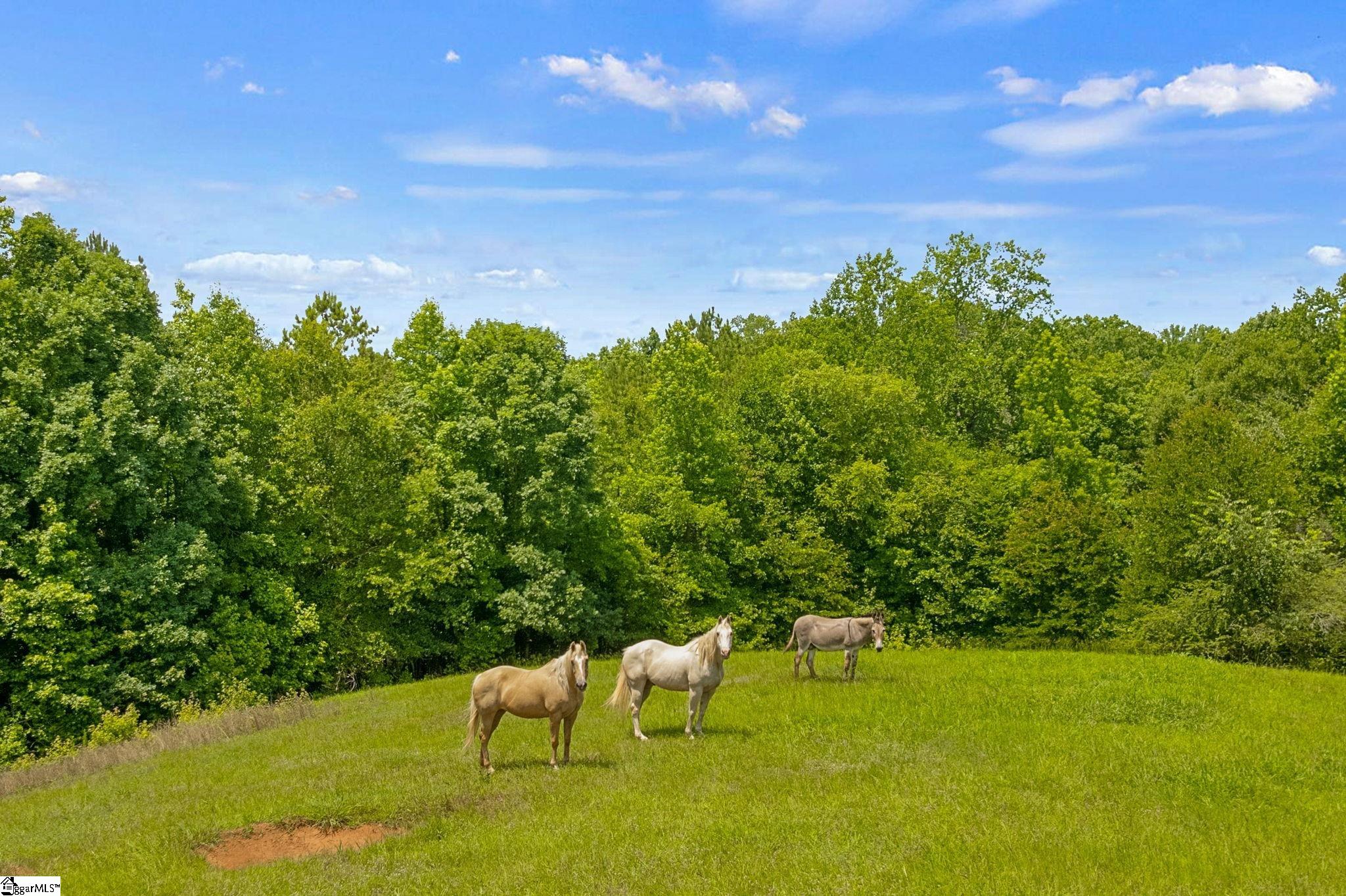 5230 Olden Porter Road Pendelton, SC 29670