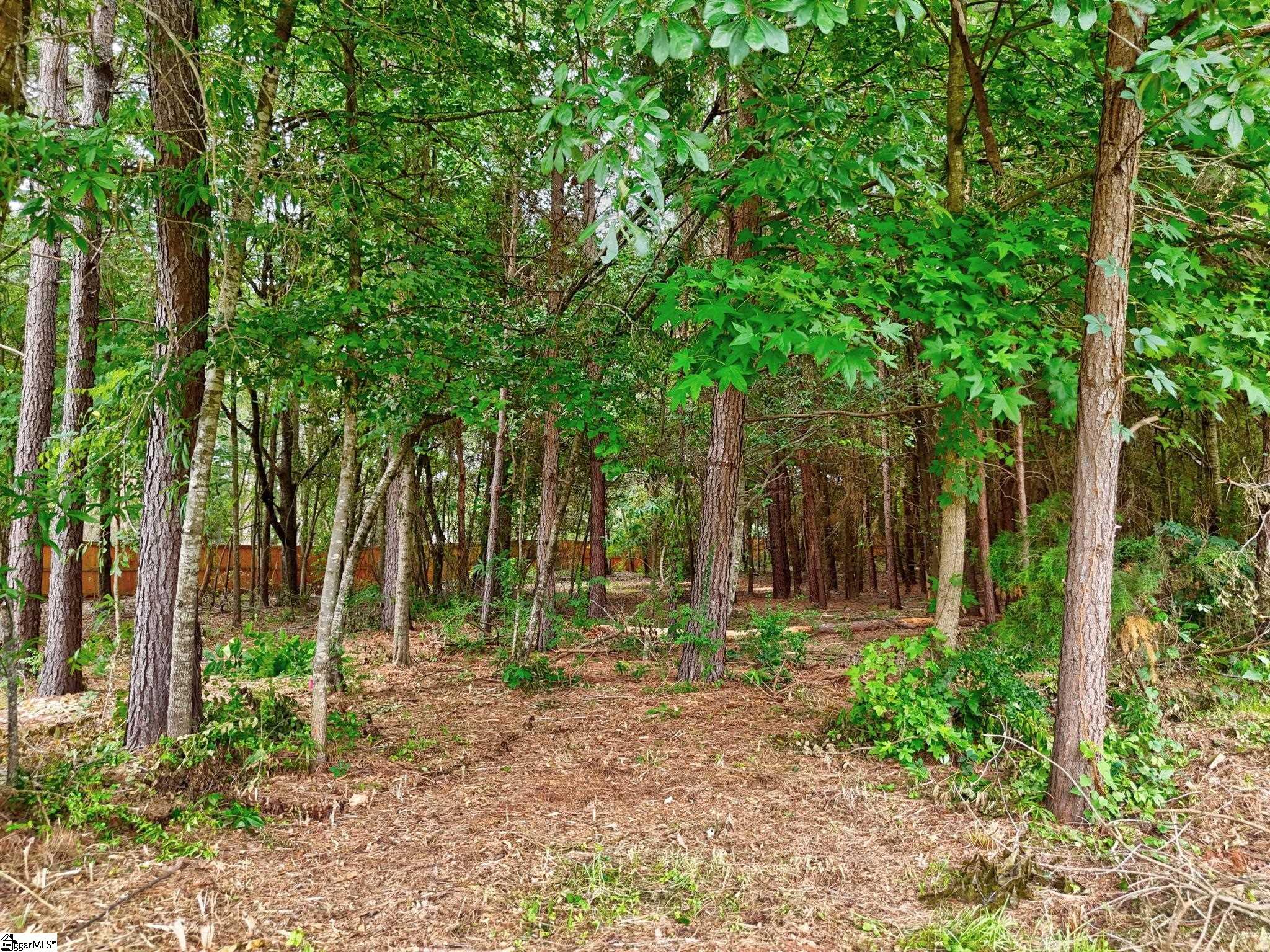 729 Stringer Road Belton, SC 29627