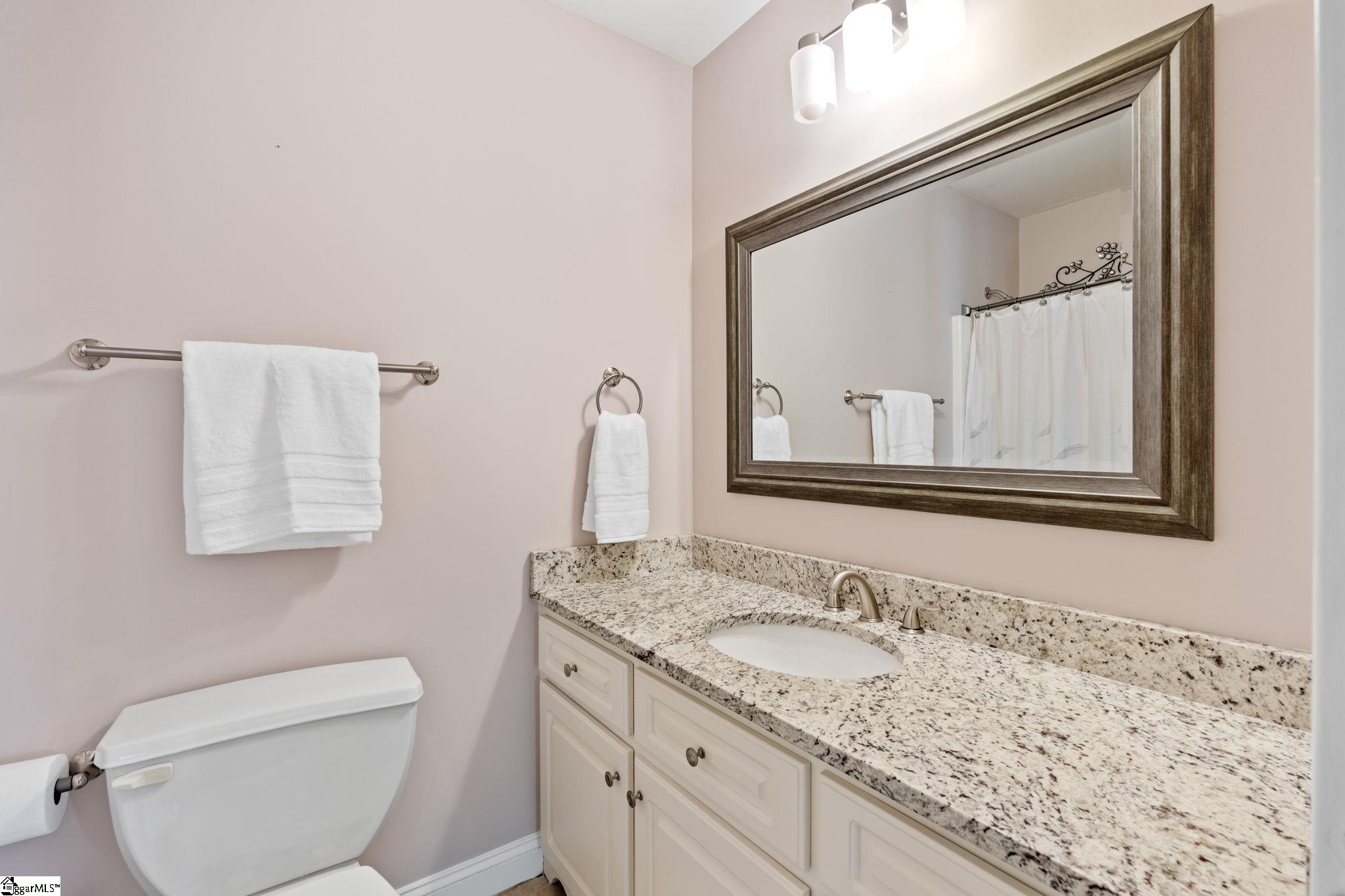 3 Charlestonplace Court Greenville, SC 29615