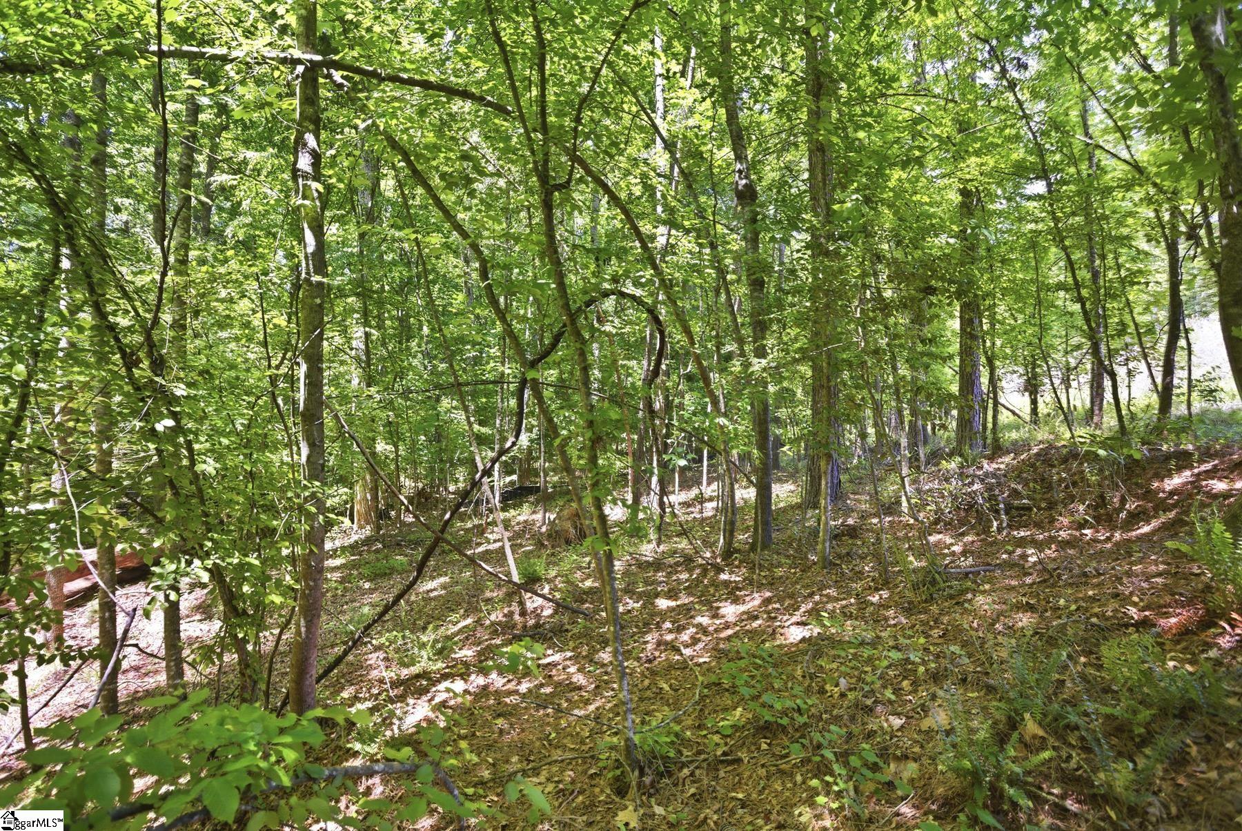 912 Watercrest Road West Union, SC 29696
