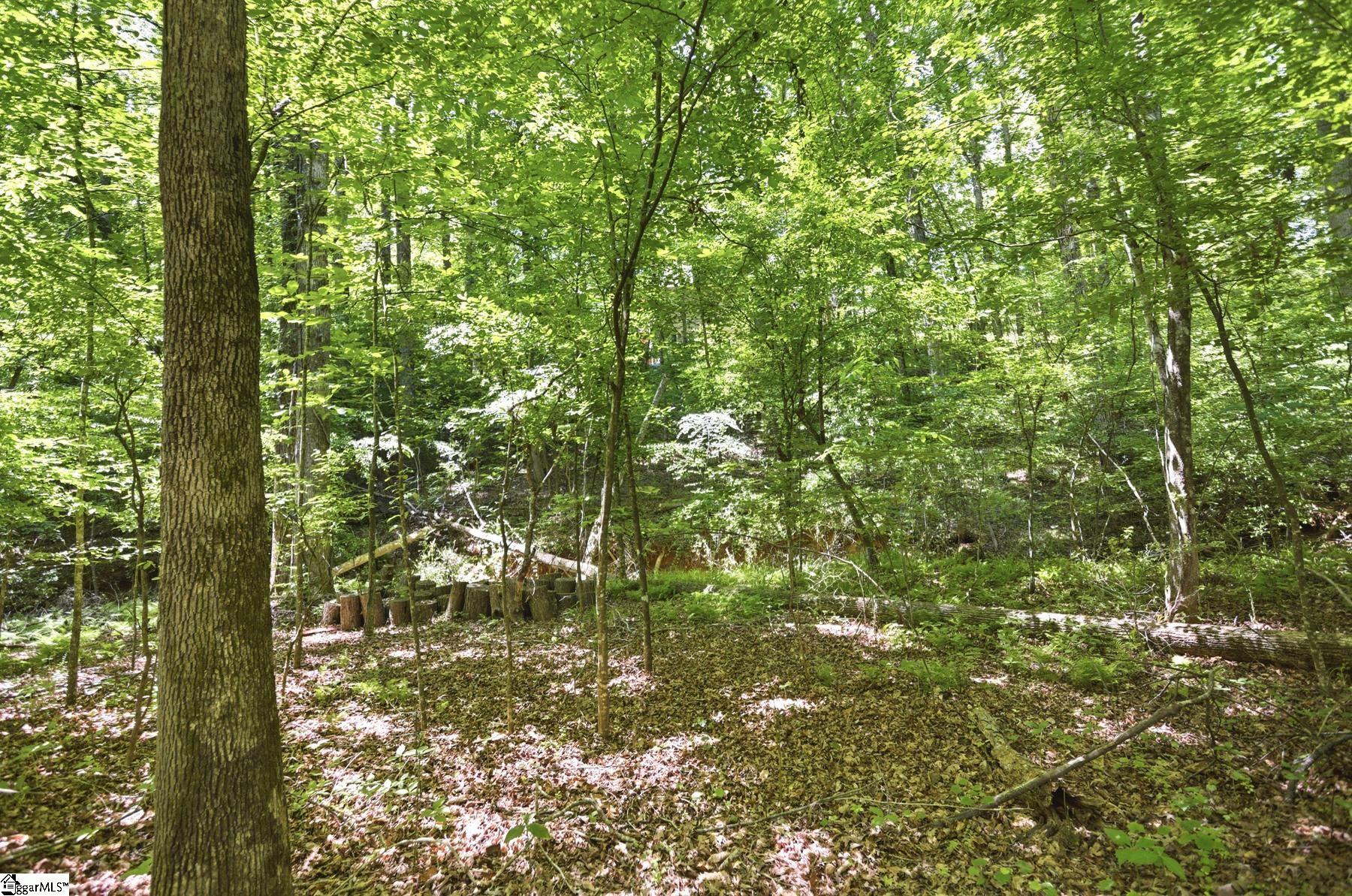 912 Watercrest Road West Union, SC 29696