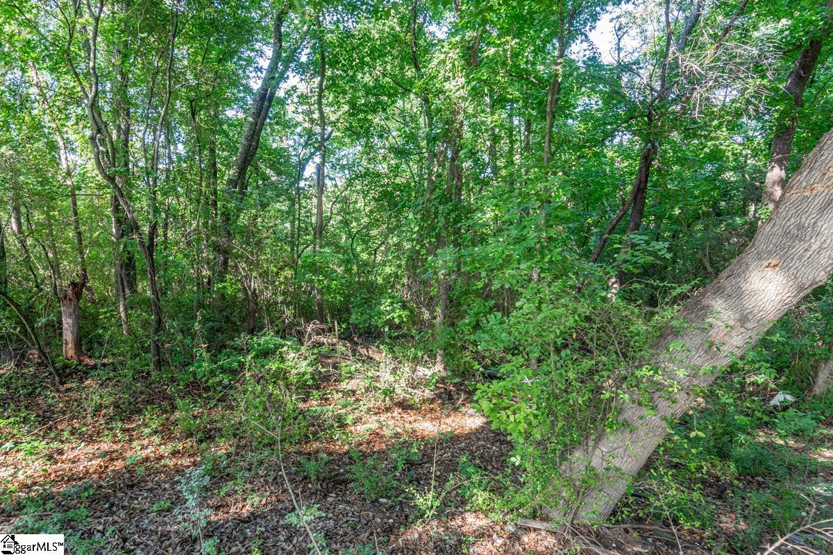 663 Arlington Road Greer, SC 29651