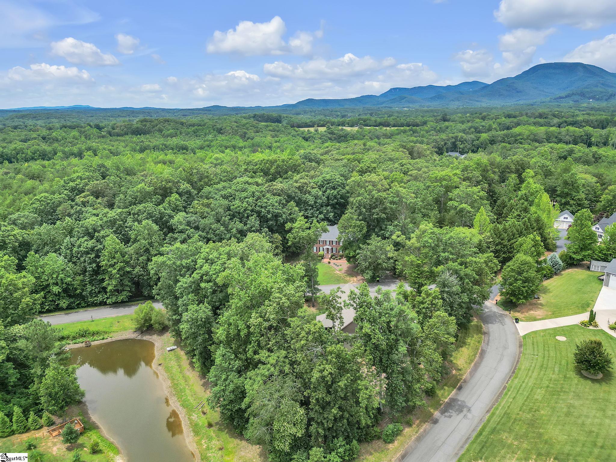 221 Morning View Drive Landrum, SC 29356