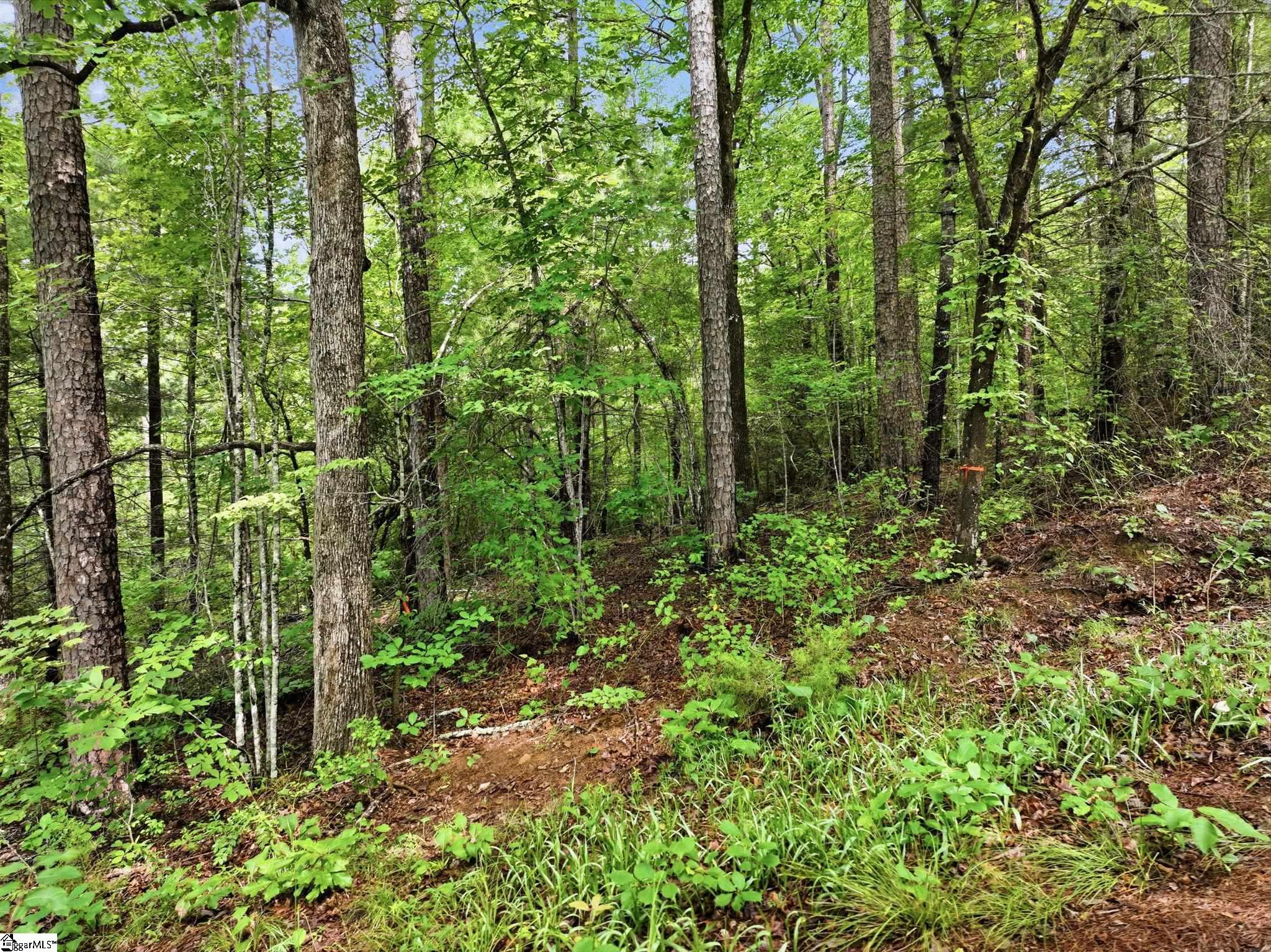 231 Cherokee Hills Drive Pickens, SC 29671