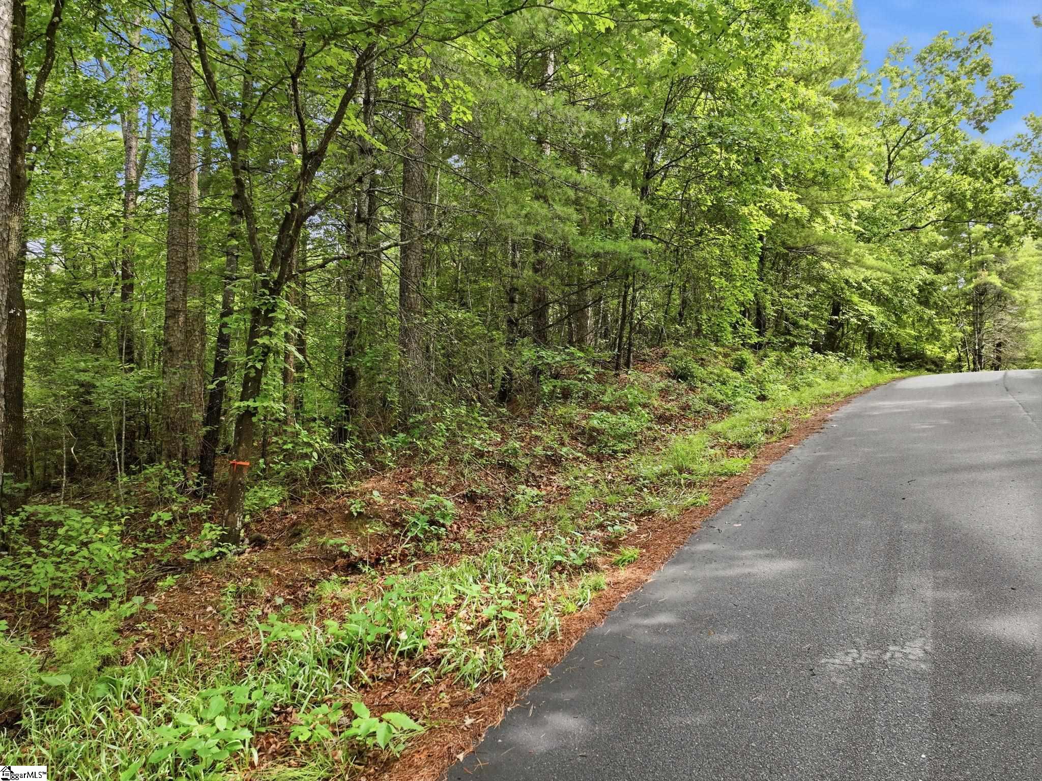 231 Cherokee Hills Drive Pickens, SC 29671