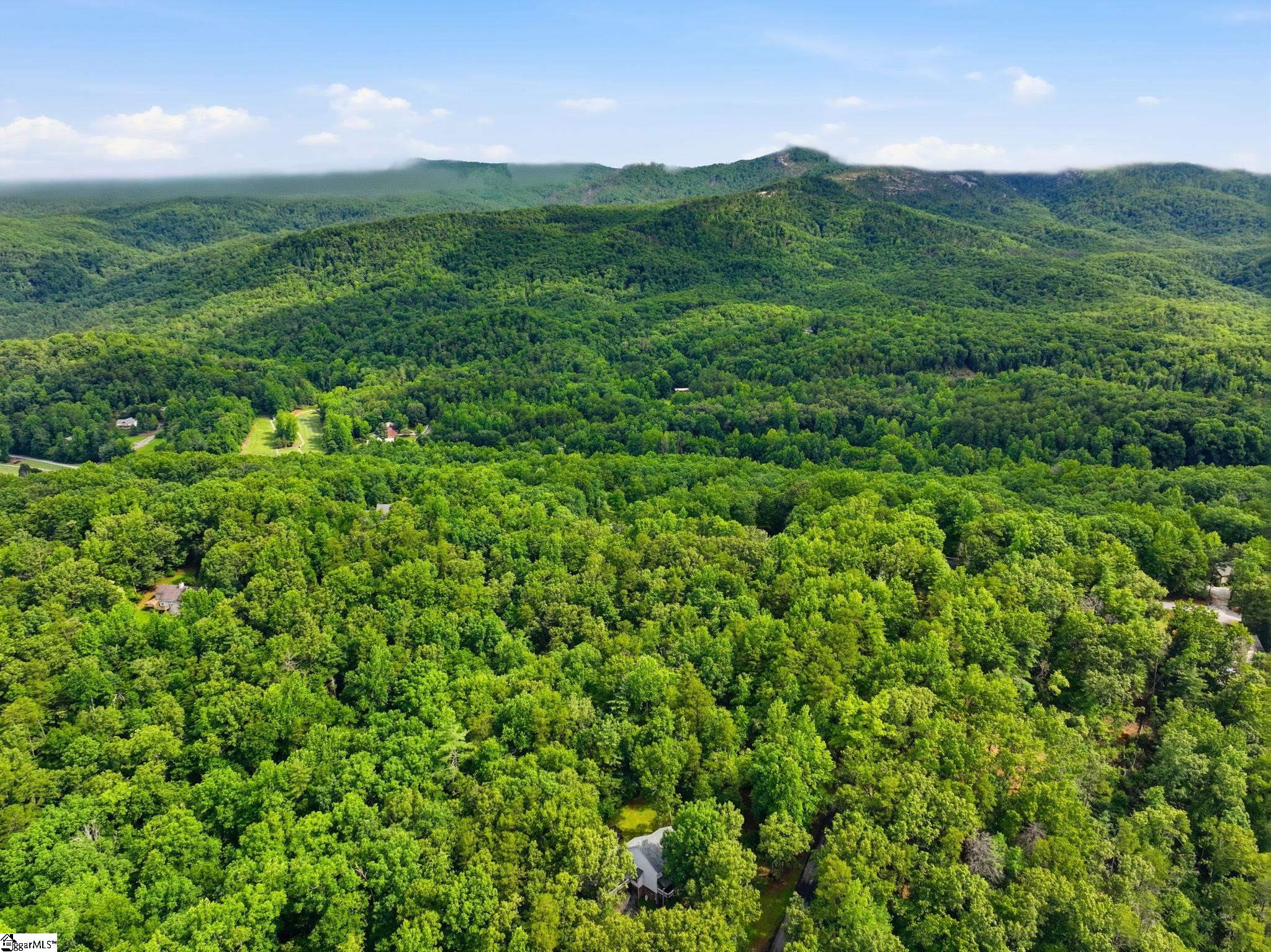 231 Cherokee Hills Drive Pickens, SC 29671