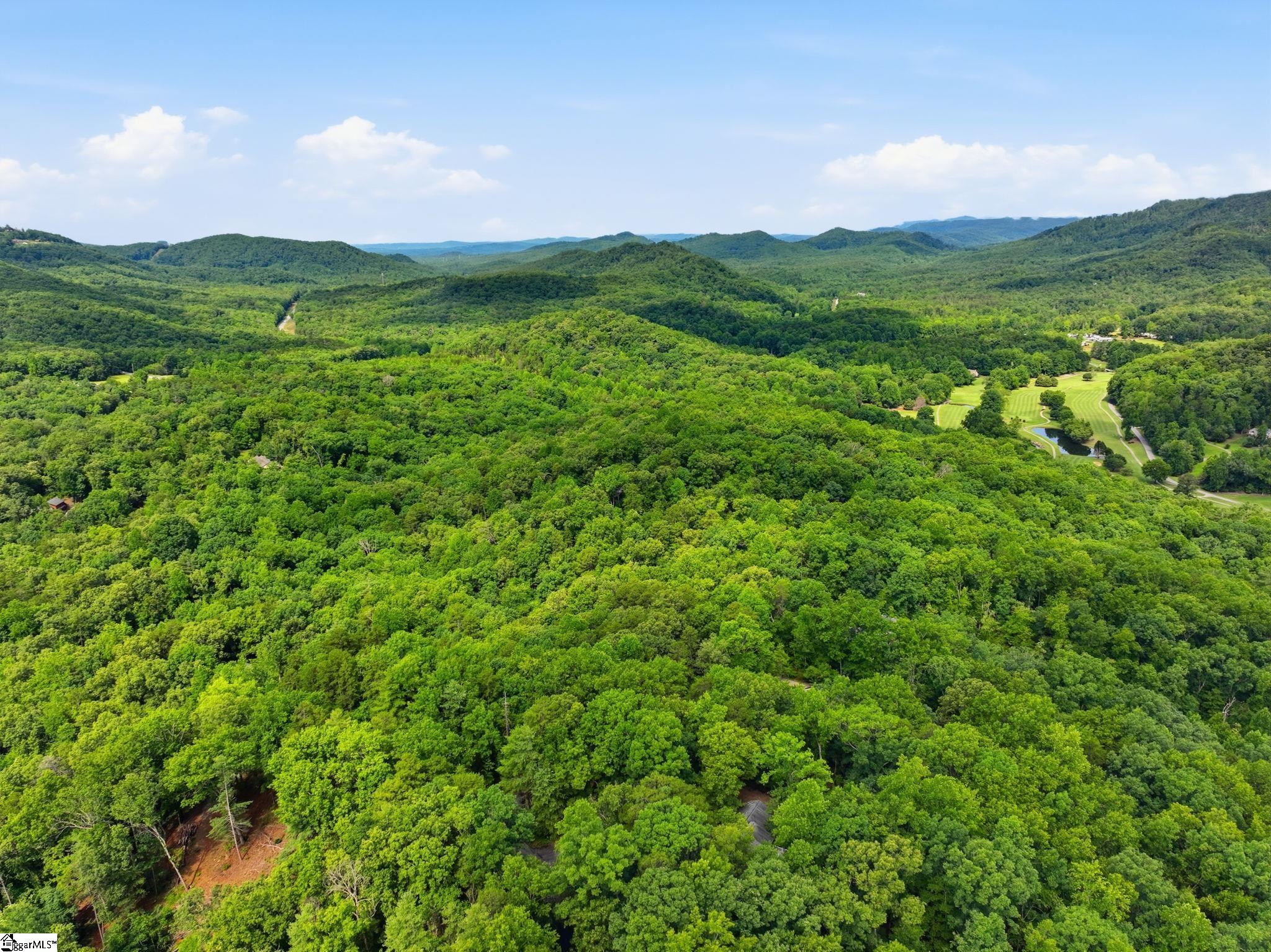 231 Cherokee Hills Drive Pickens, SC 29671