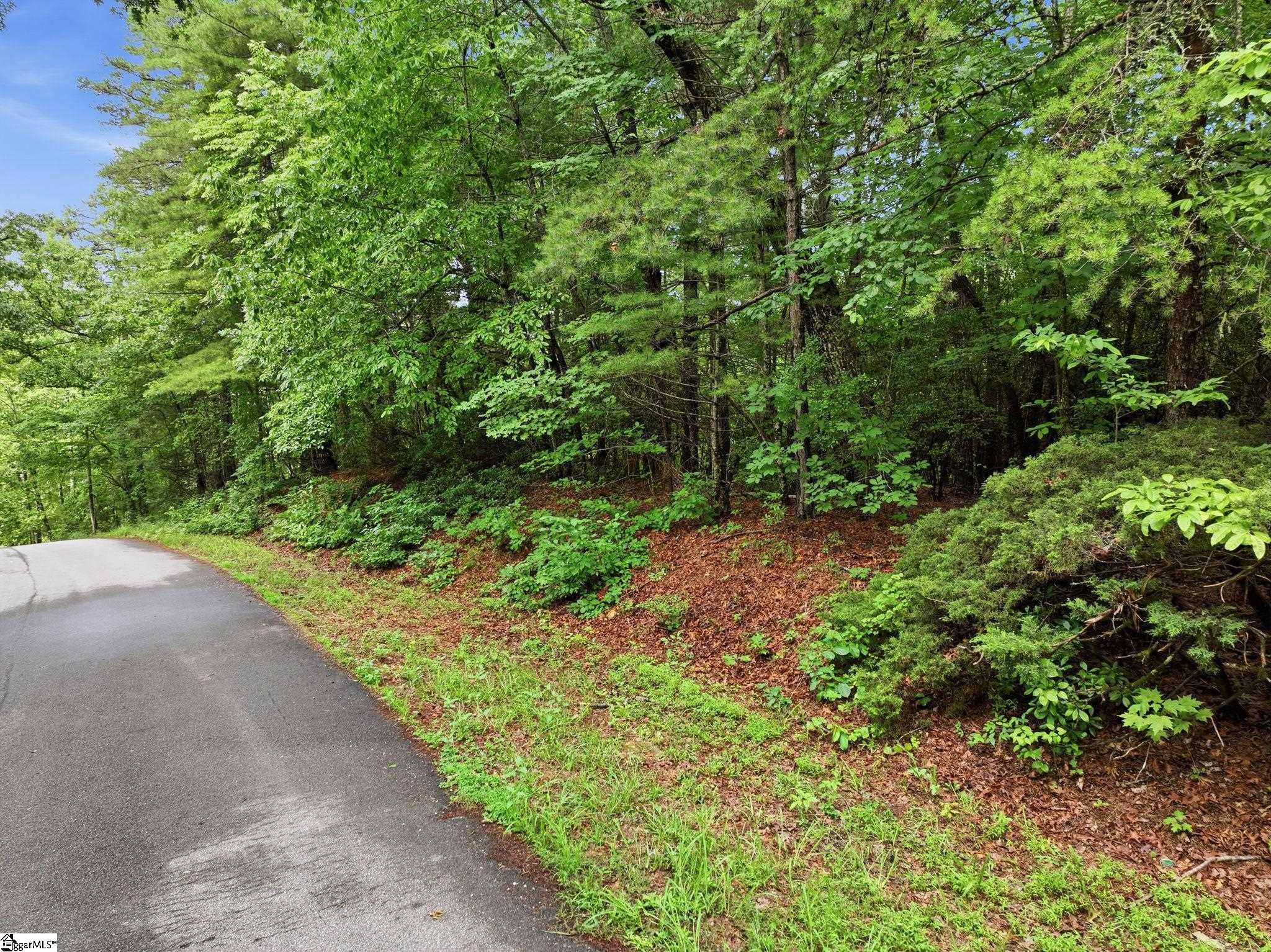 231 Cherokee Hills Drive Pickens, SC 29671
