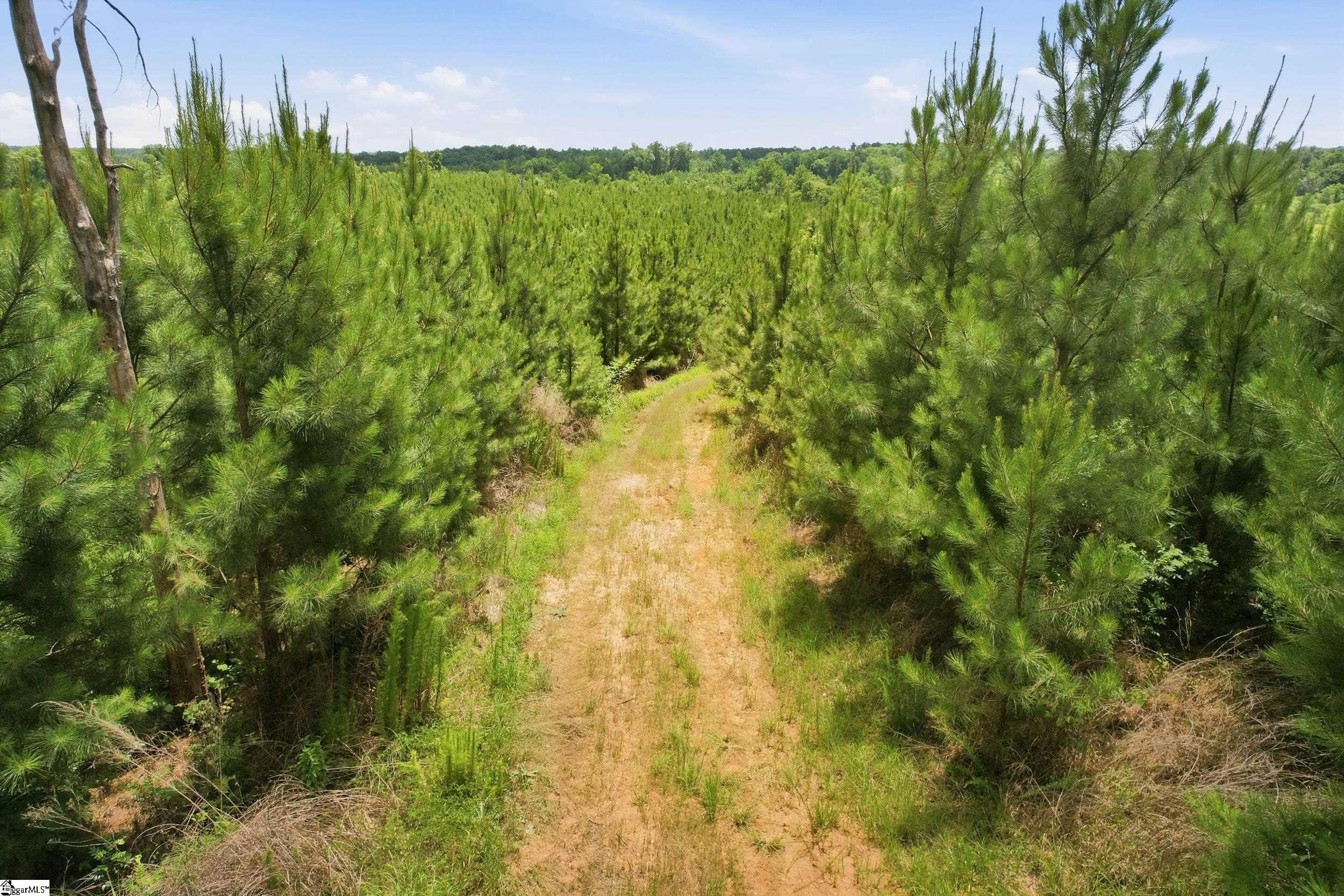 839 Duncan Creek Church Road Laurens, SC 29360