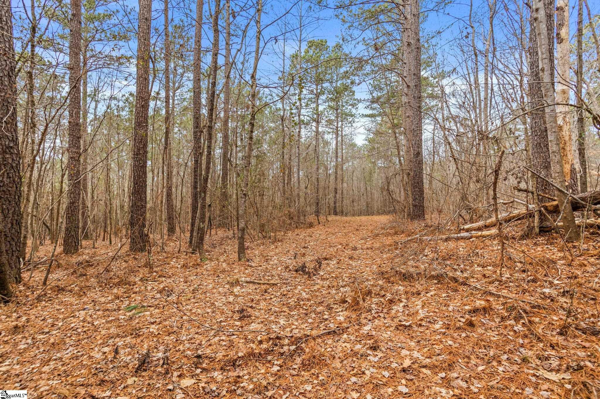 839 Duncan Creek Church Road Laurens, SC 29360