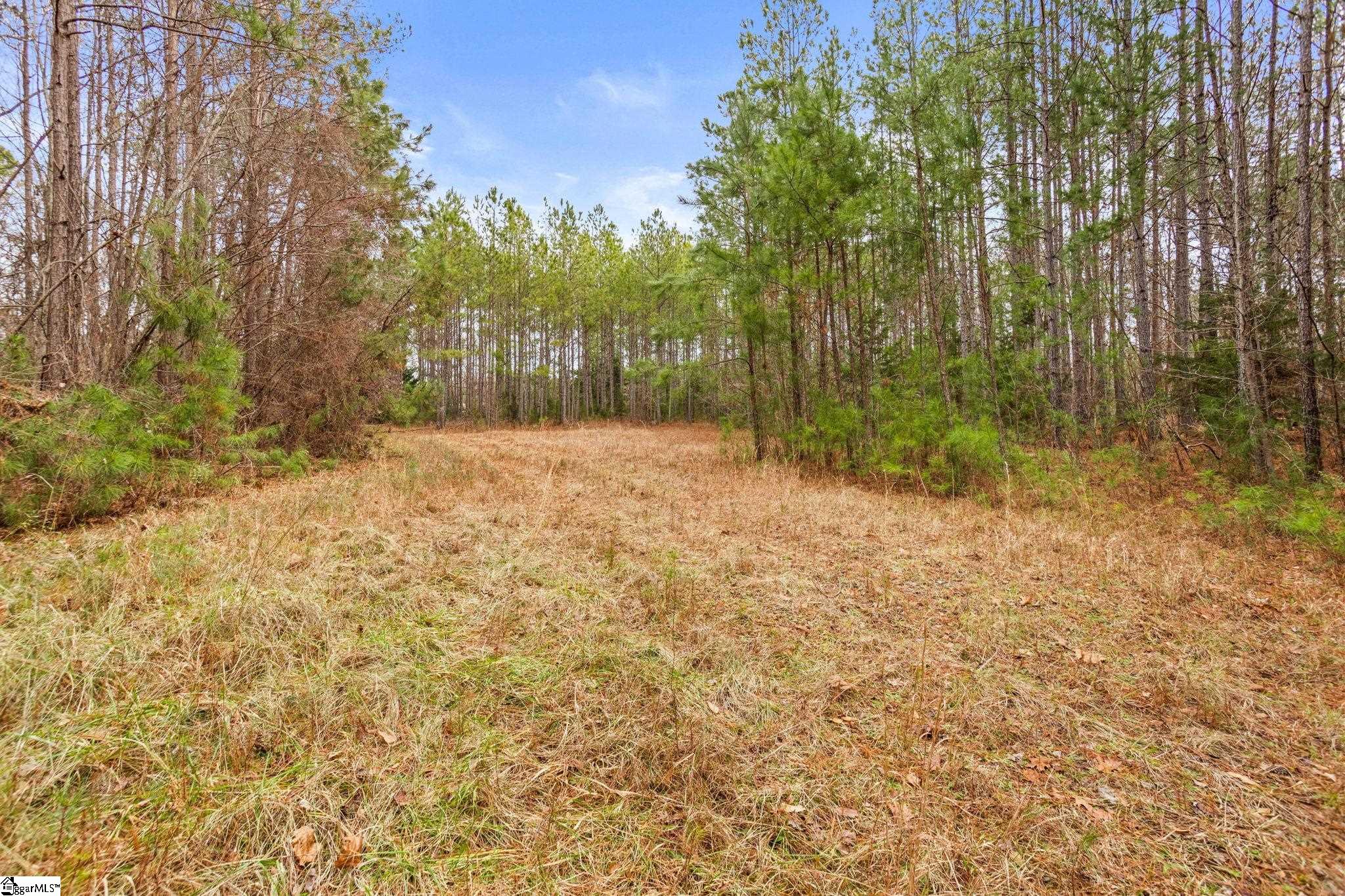 839 Duncan Creek Church Road Laurens, SC 29360