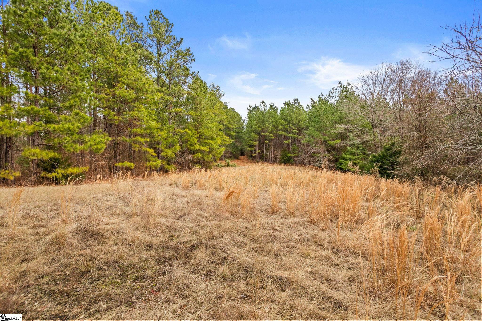 839 Duncan Creek Church Road Laurens, SC 29360
