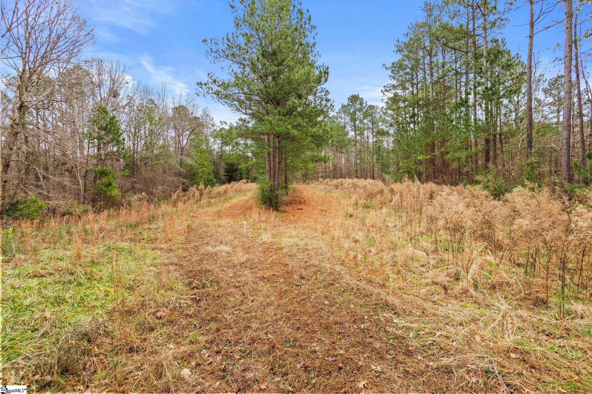 839 Duncan Creek Church Road Laurens, SC 29360