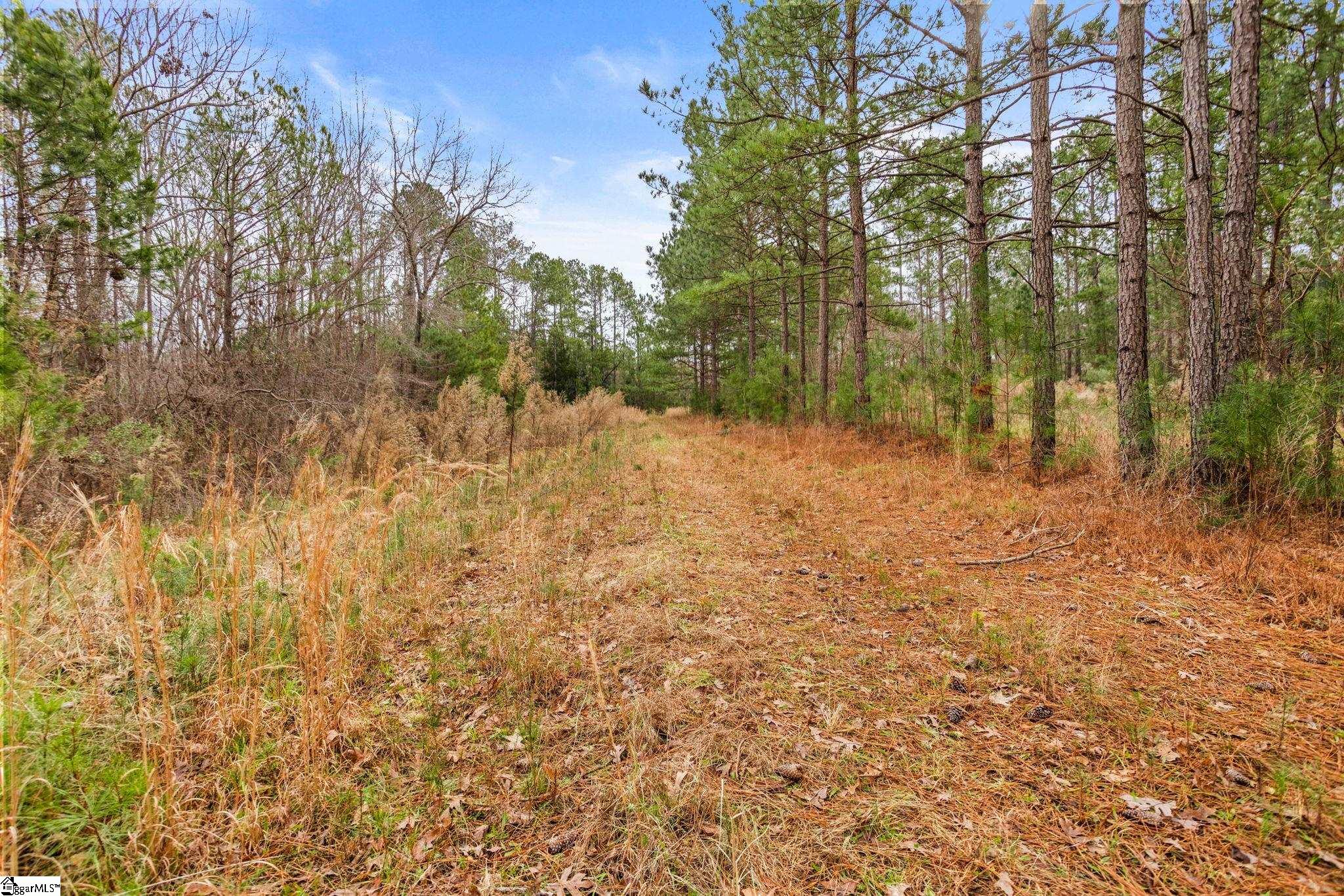 839 Duncan Creek Church Road Laurens, SC 29360