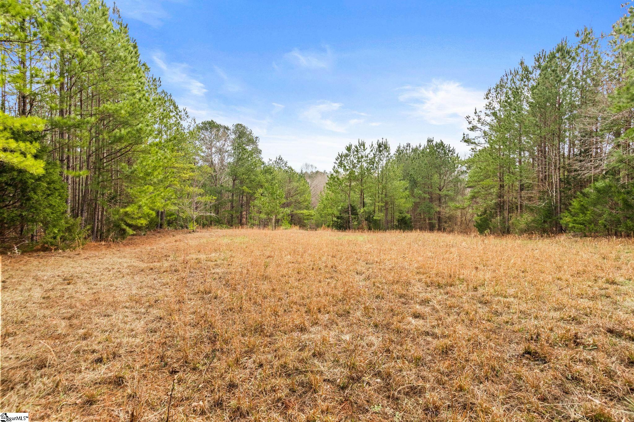 839 Duncan Creek Church Road Laurens, SC 29360