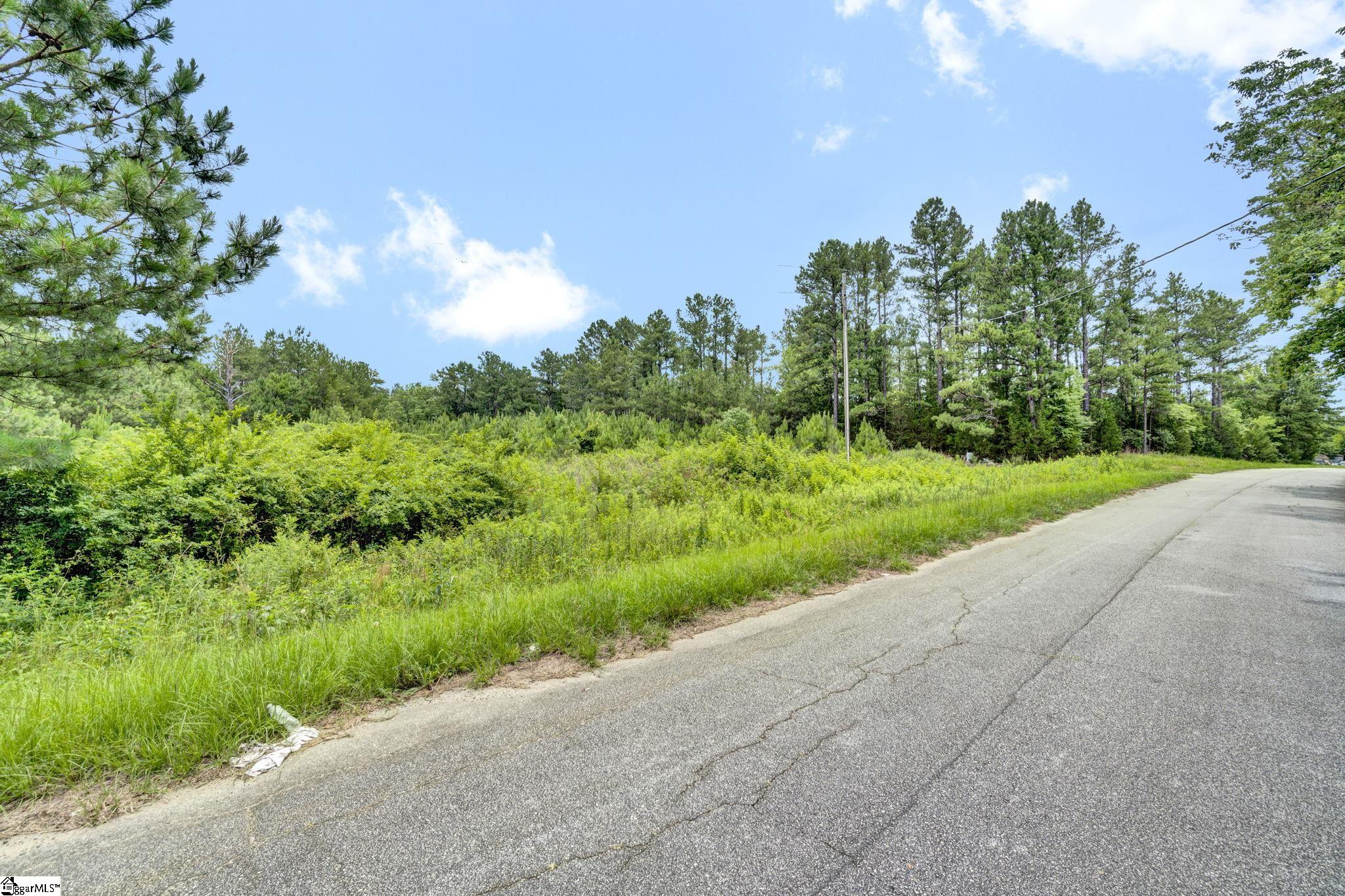 00 Stomp Springs Drive Clinton, SC 29325