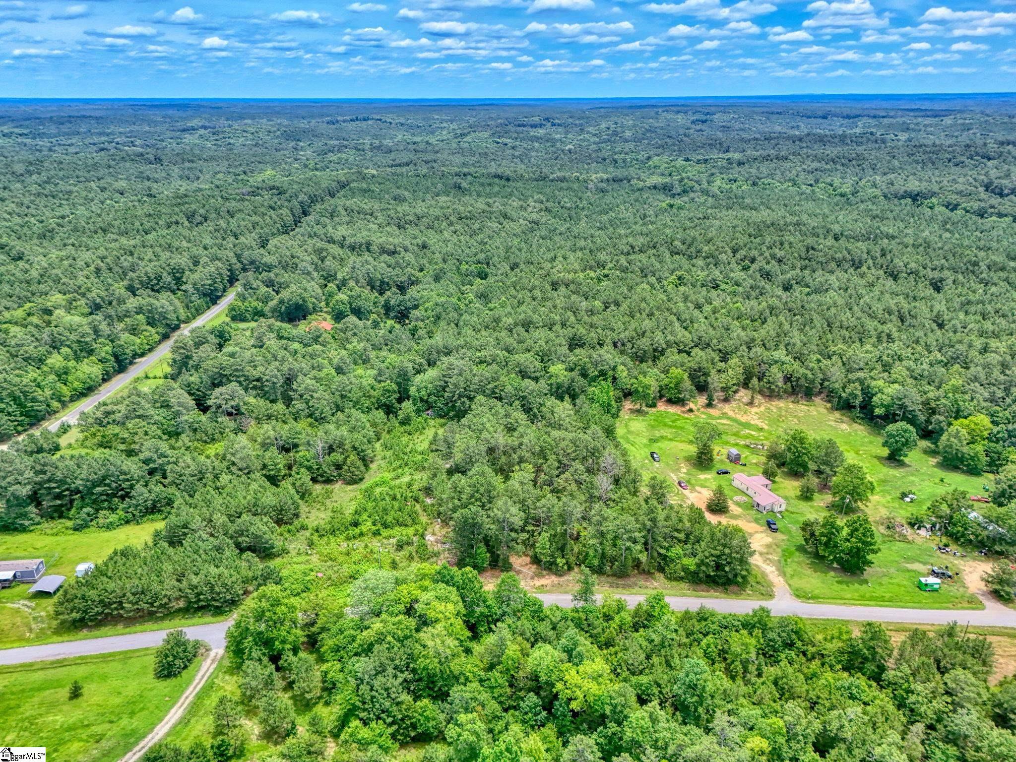 00 Stomp Springs Drive Clinton, SC 29325