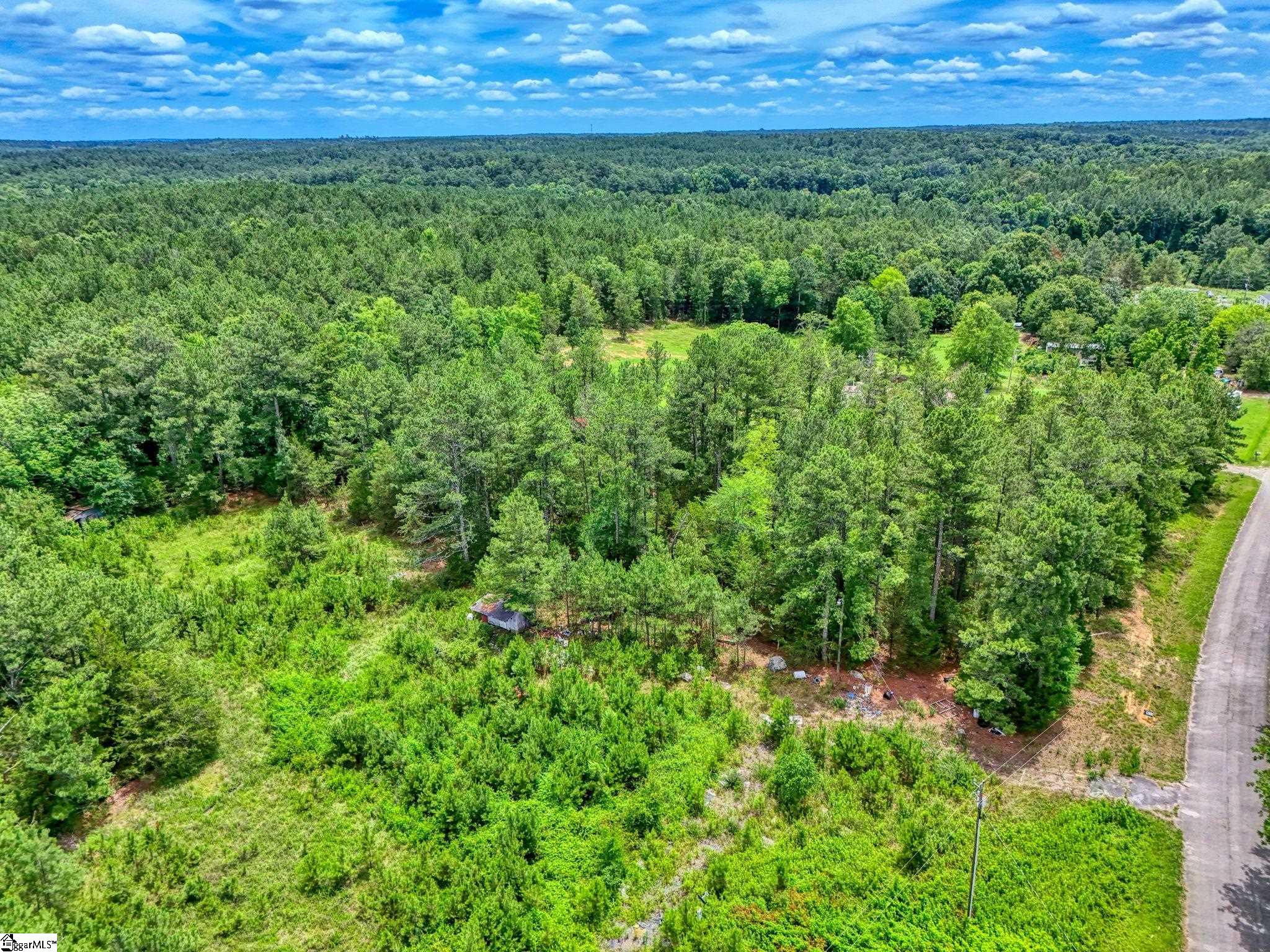 00 Stomp Springs Drive Clinton, SC 29325