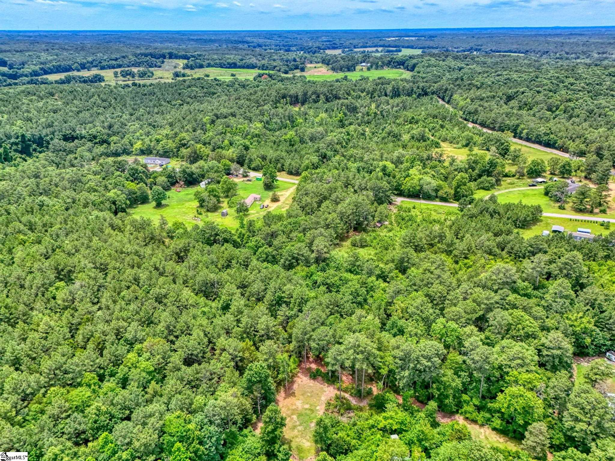 00 Stomp Springs Drive Clinton, SC 29325