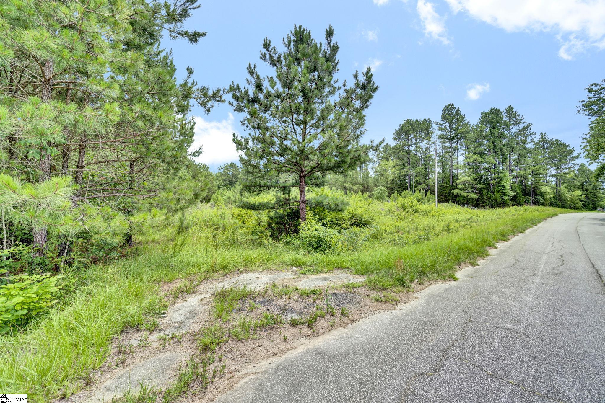 00 Stomp Springs Drive Clinton, SC 29325
