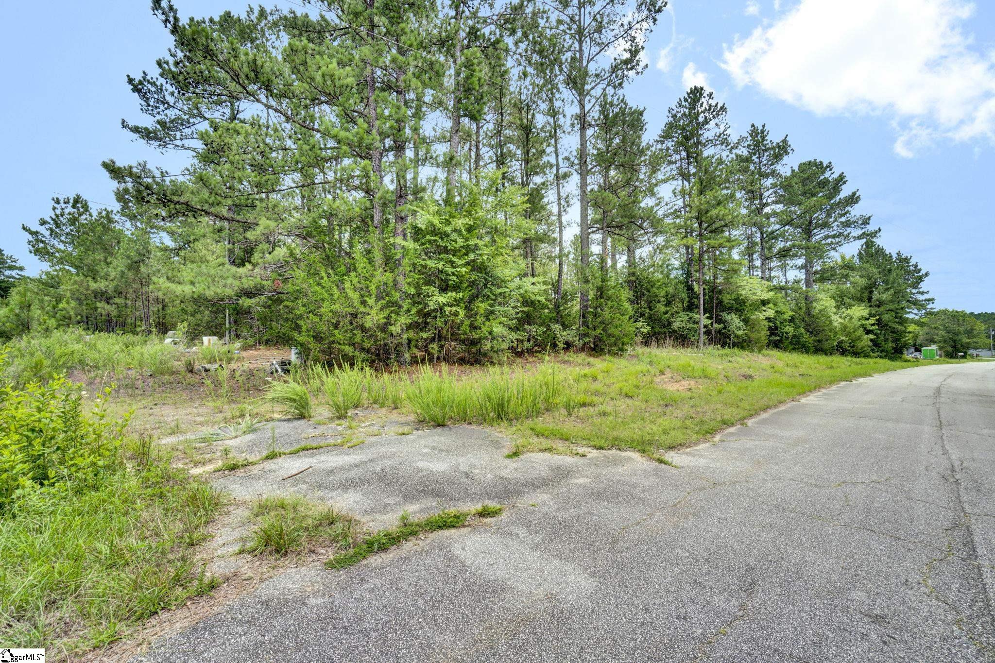 00 Stomp Springs Drive Clinton, SC 29325
