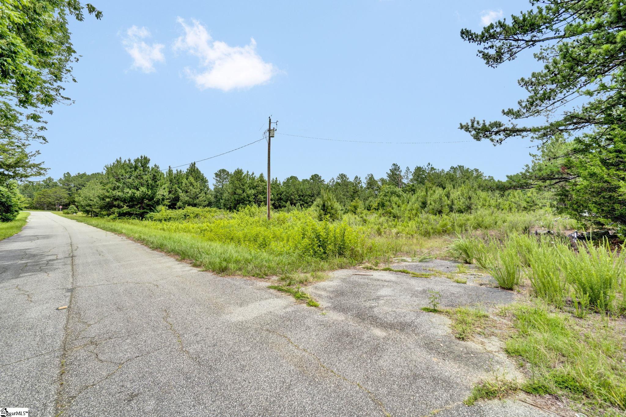 00 Stomp Springs Drive Clinton, SC 29325