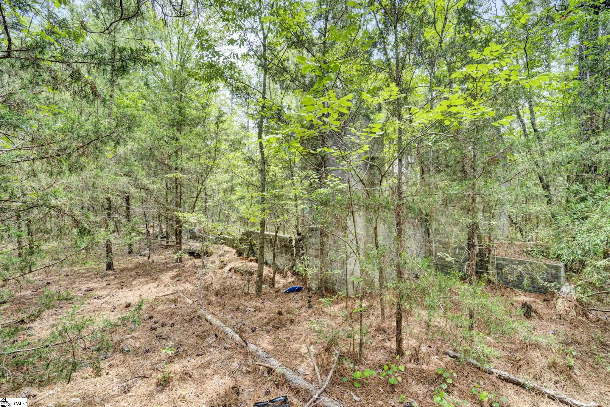 00 Stomp Springs Drive Clinton, SC 29325
