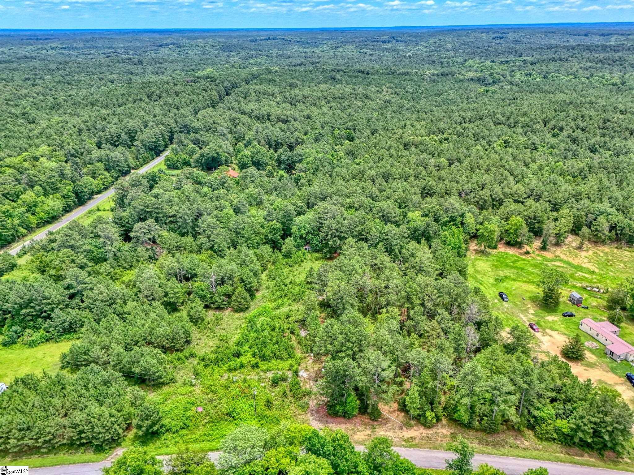 00 Stomp Springs Drive Clinton, SC 29325