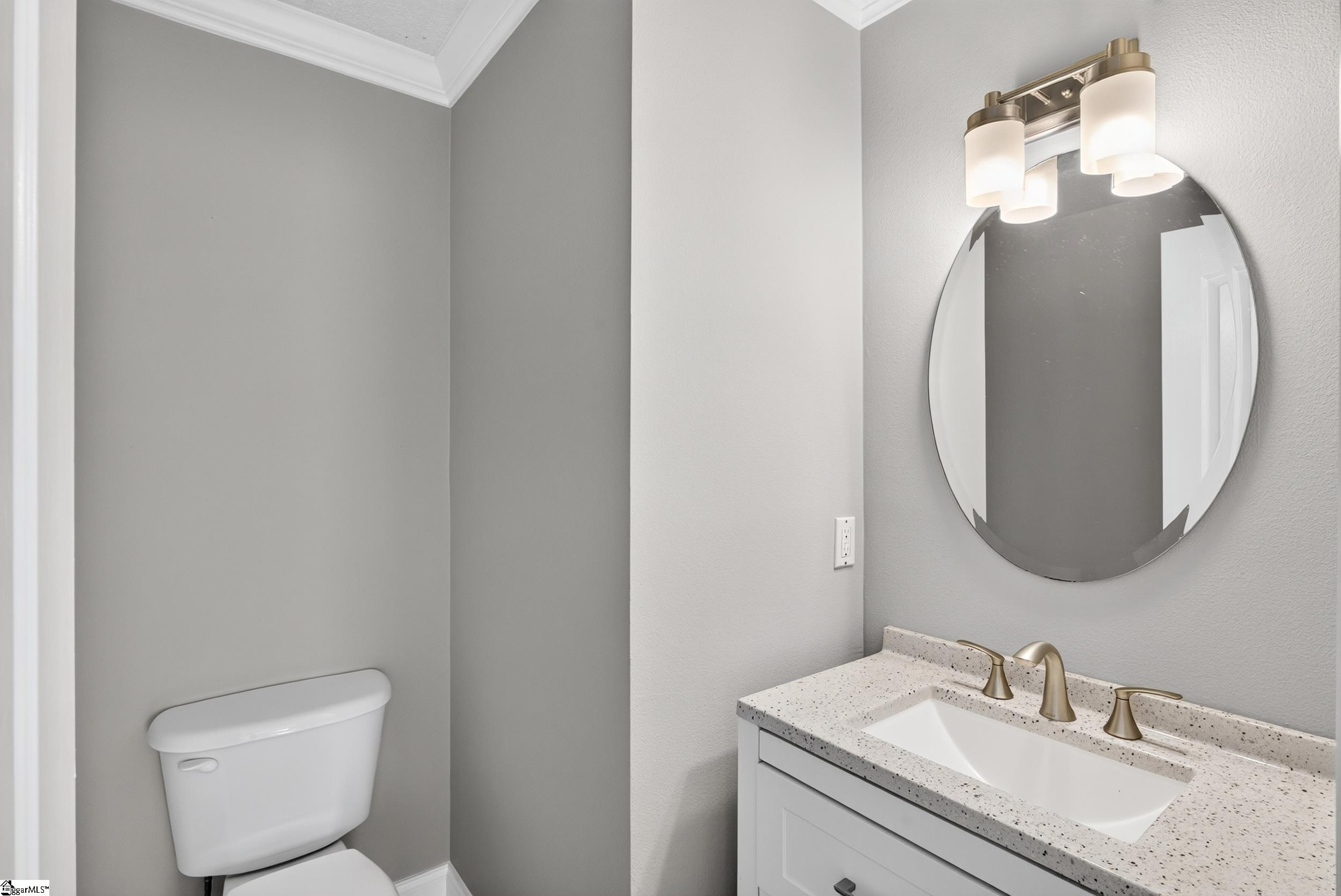 128 Saxon Falls Court Mauldin, SC 29662