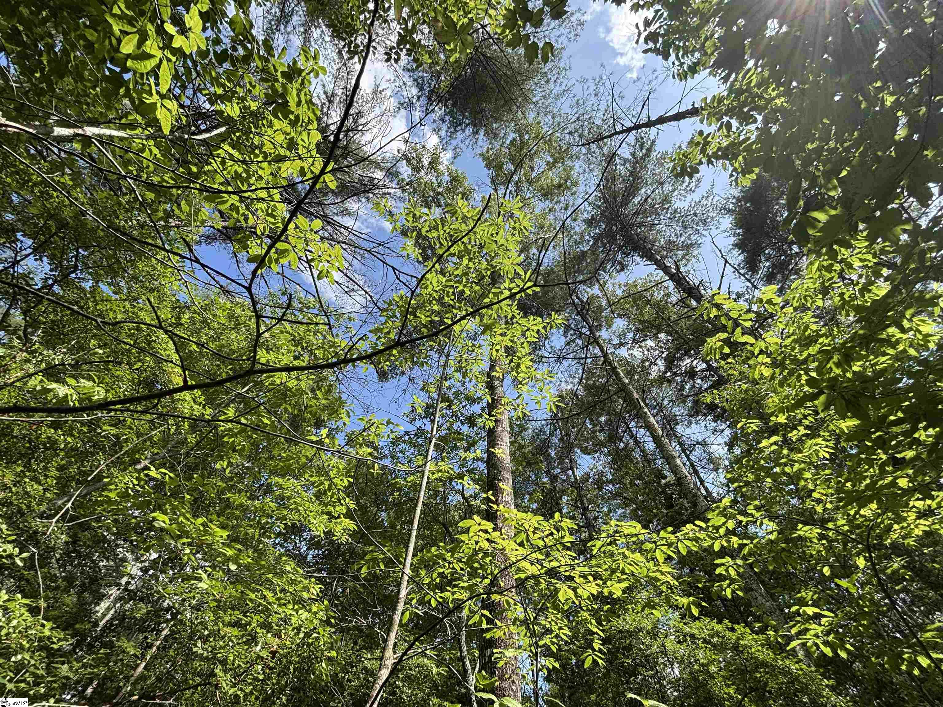 106 Dutchmans Pipe Trail Sunset, SC 29685