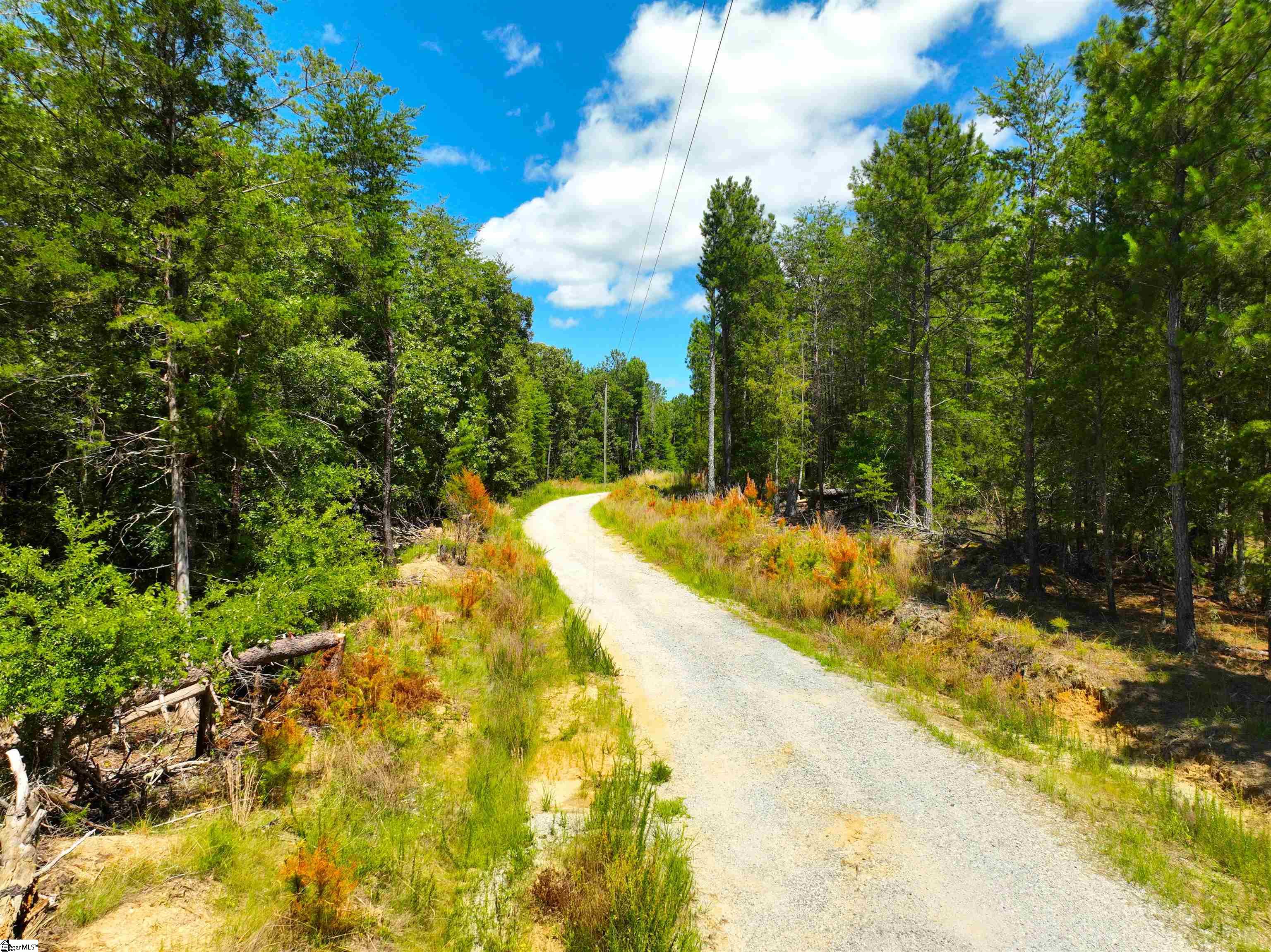 401 Coleman Road Clinton, SC 29325