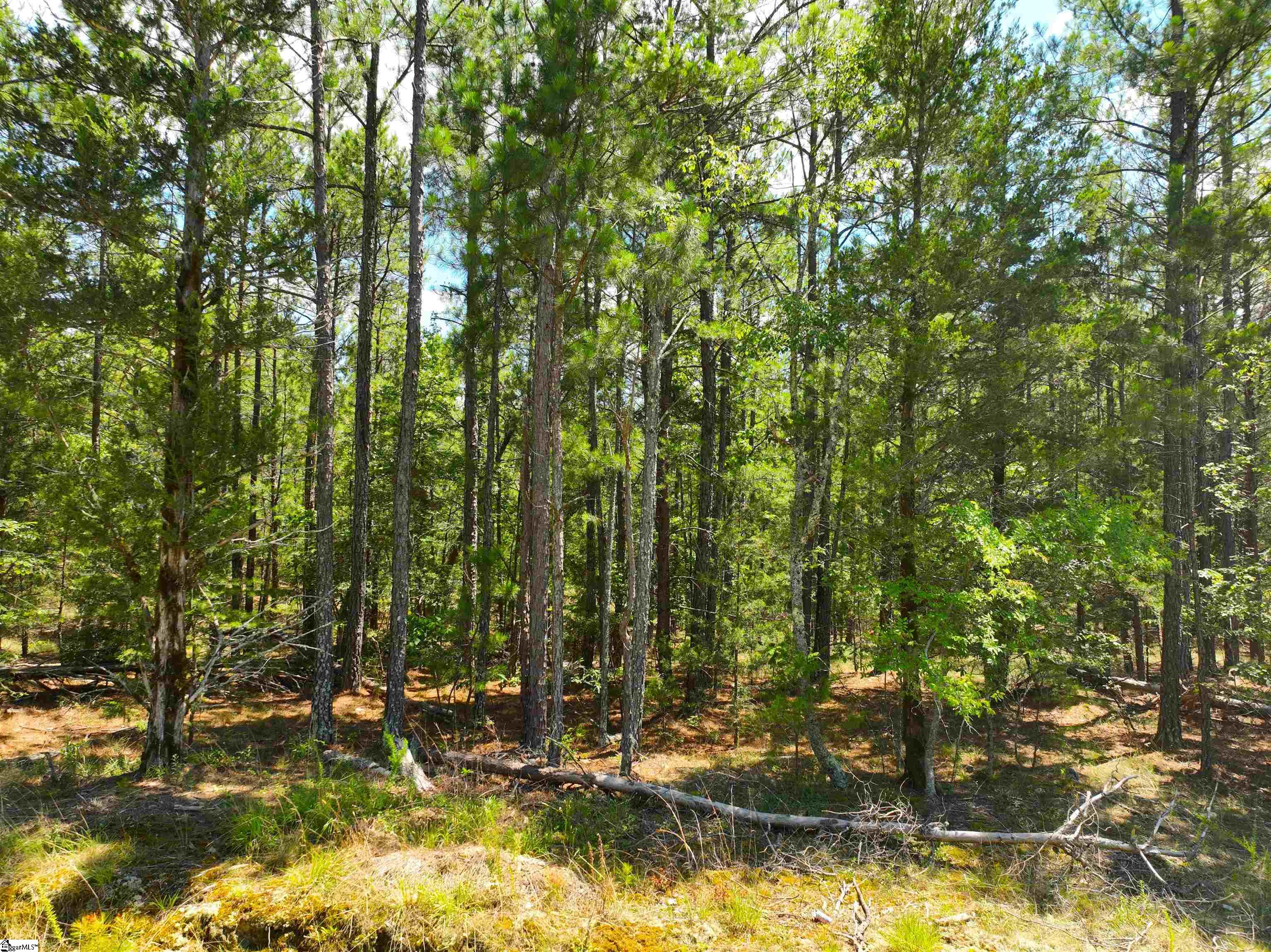 401 Coleman Road Clinton, SC 29325
