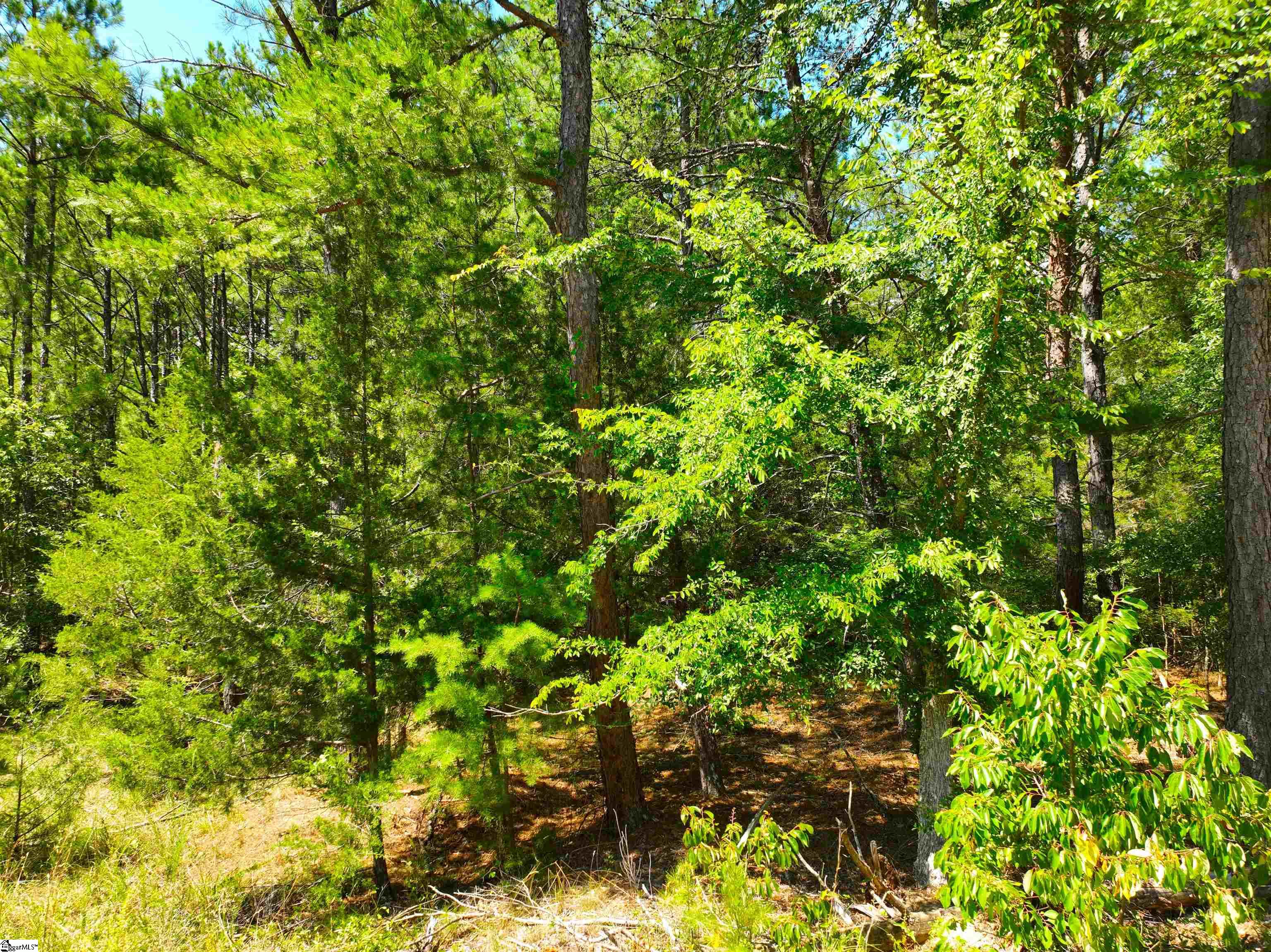 401 Coleman Road Clinton, SC 29325