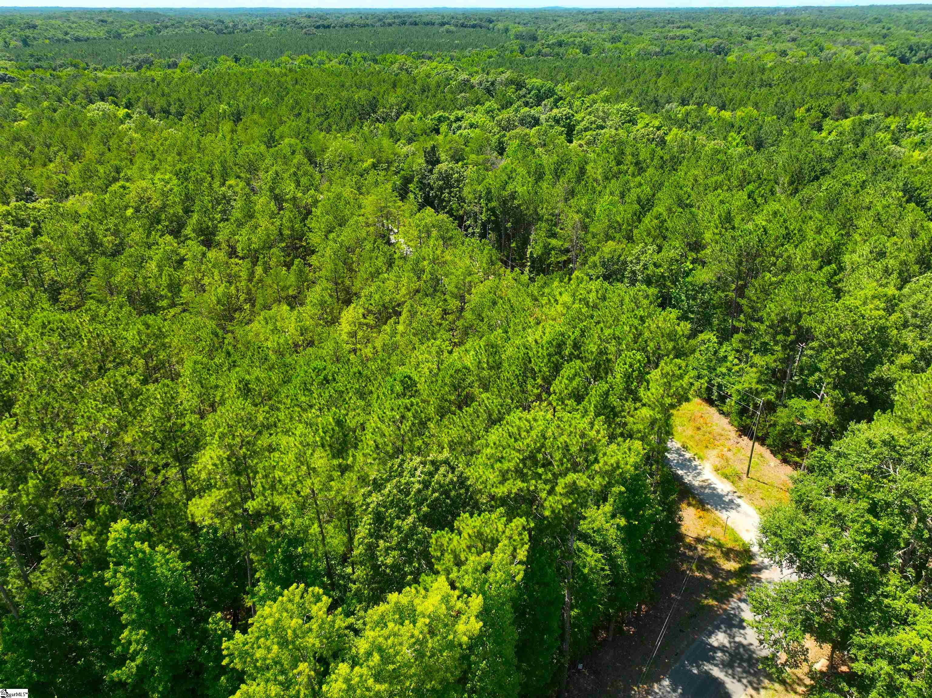 401 Coleman Road Clinton, SC 29325