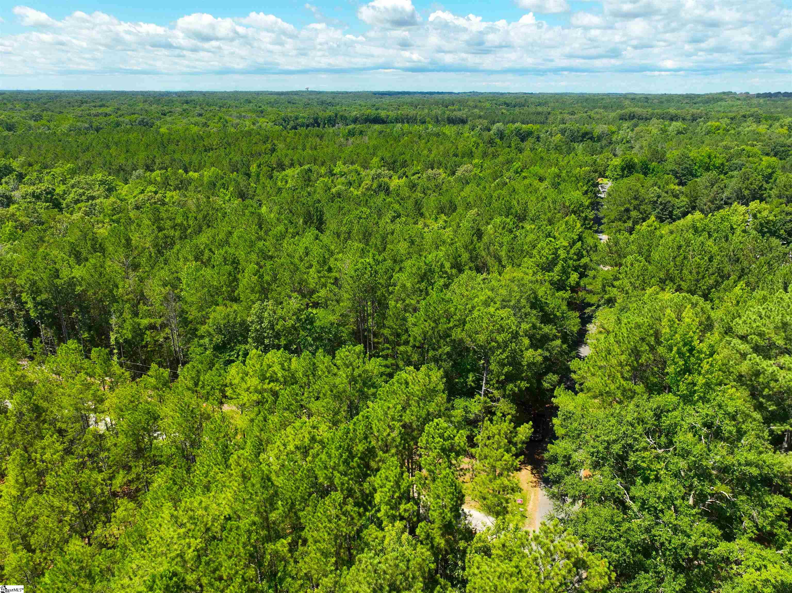 401 Coleman Road Clinton, SC 29325