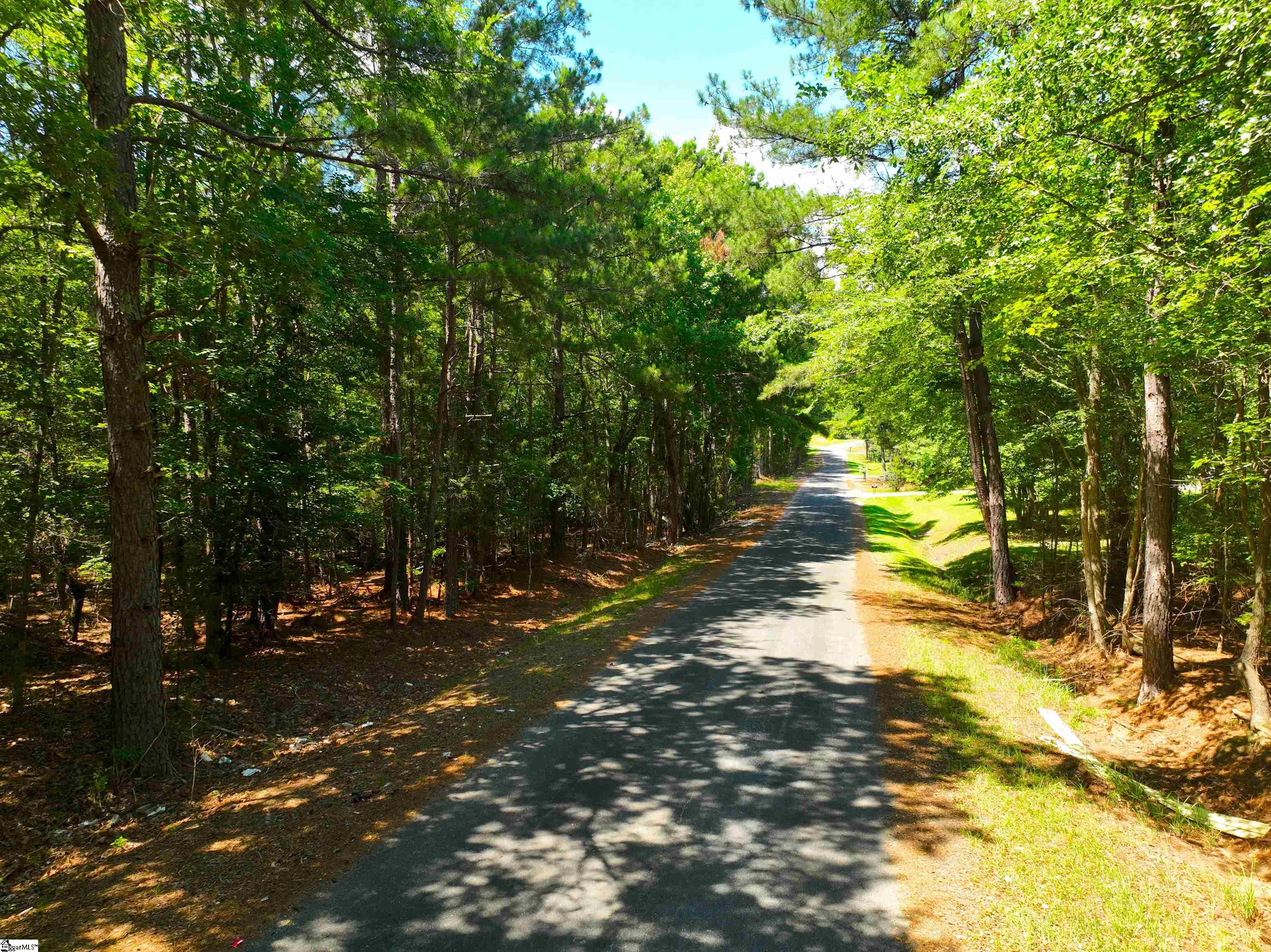 401 Coleman Road Clinton, SC 29325