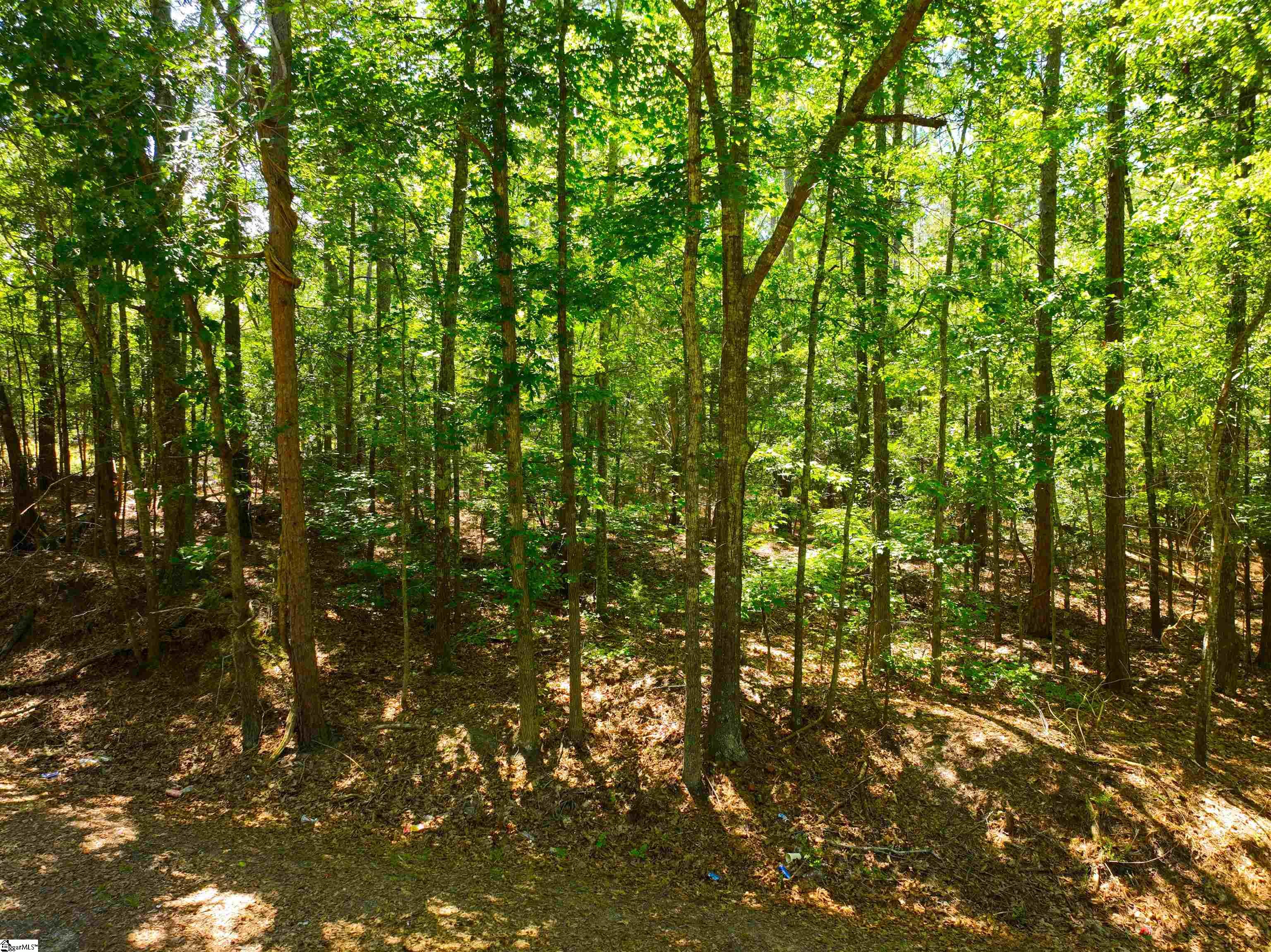 401 Coleman Road Clinton, SC 29325