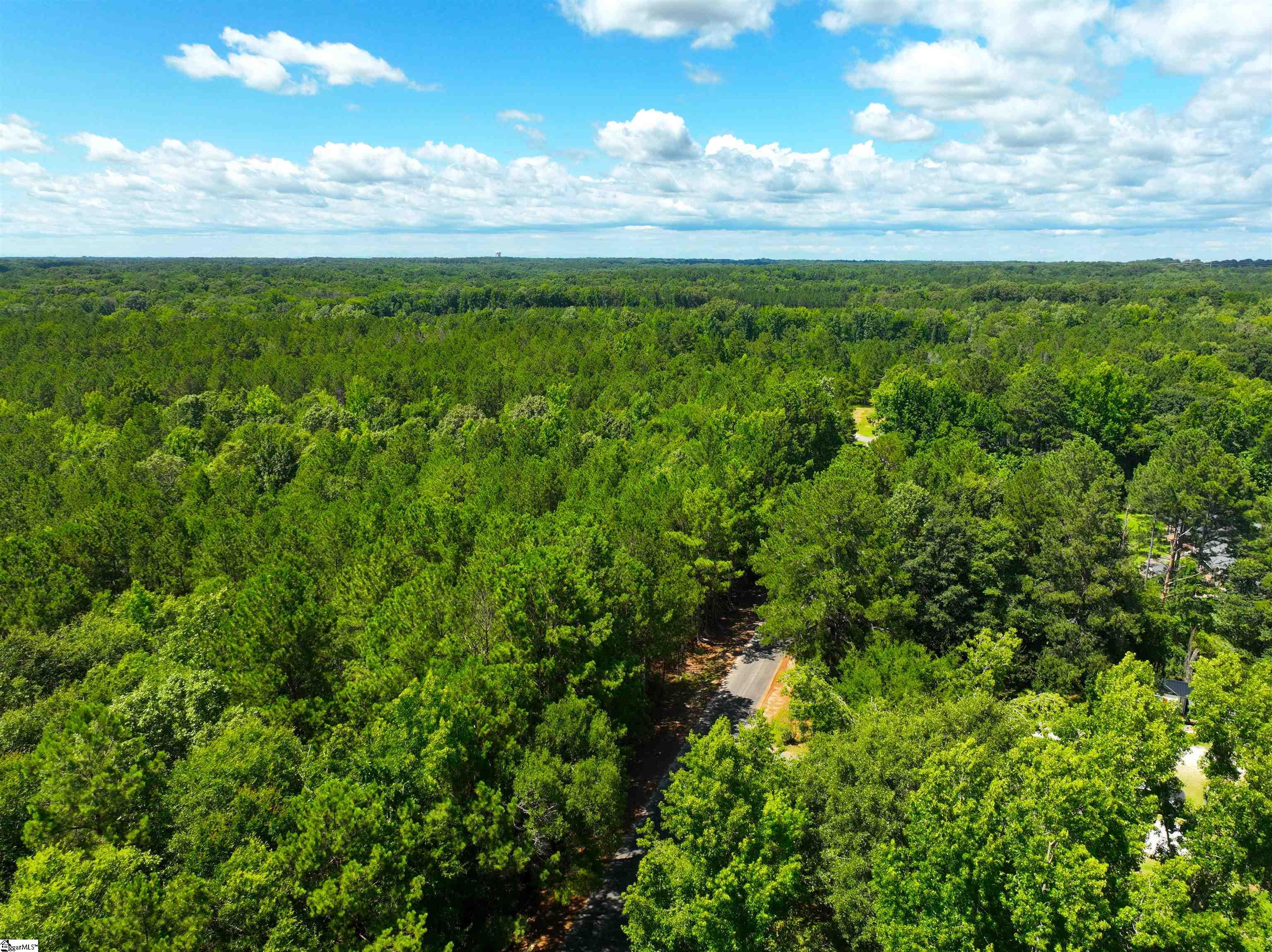 401 Coleman Road Clinton, SC 29325